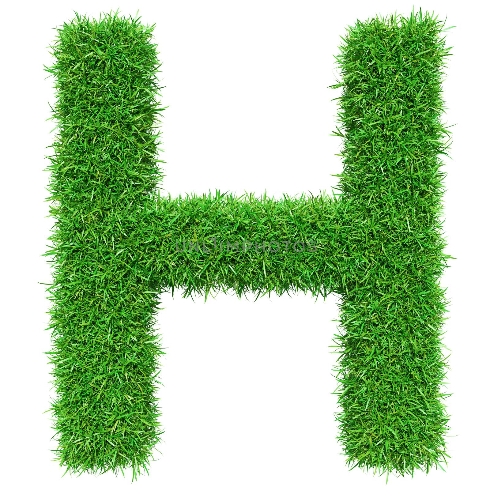 Green Grass Letter H by cherezoff