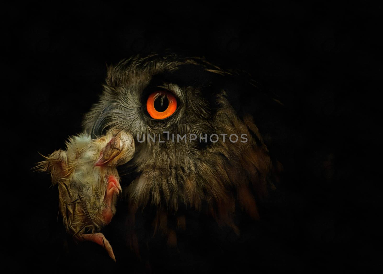 Owl with prey by Mibuch