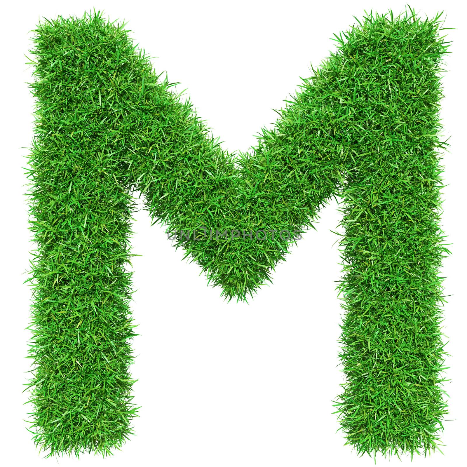 Green Grass Letter M by cherezoff