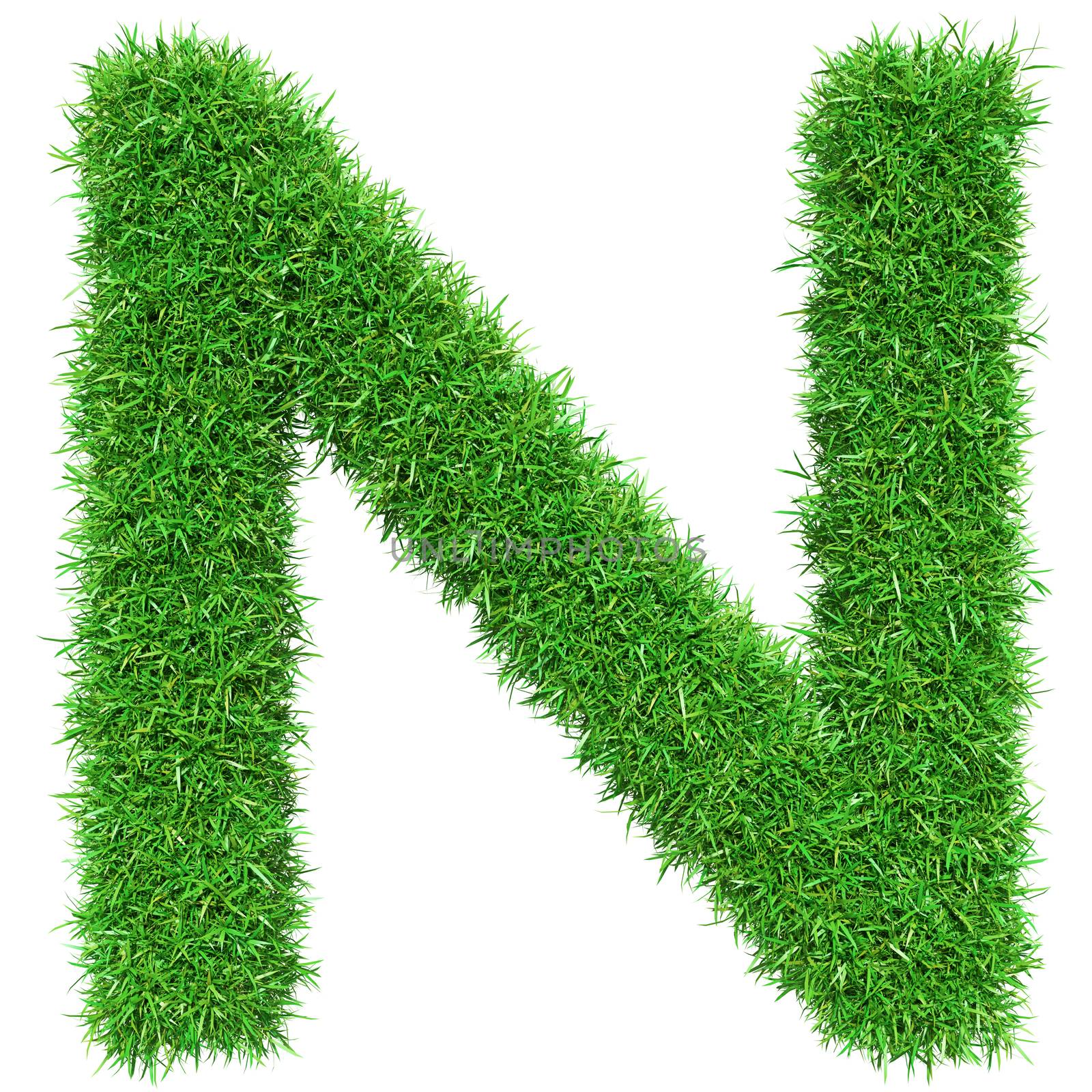 Green Grass Letter N. Isolated On White Background. Font For Your Design. 3D Illustration