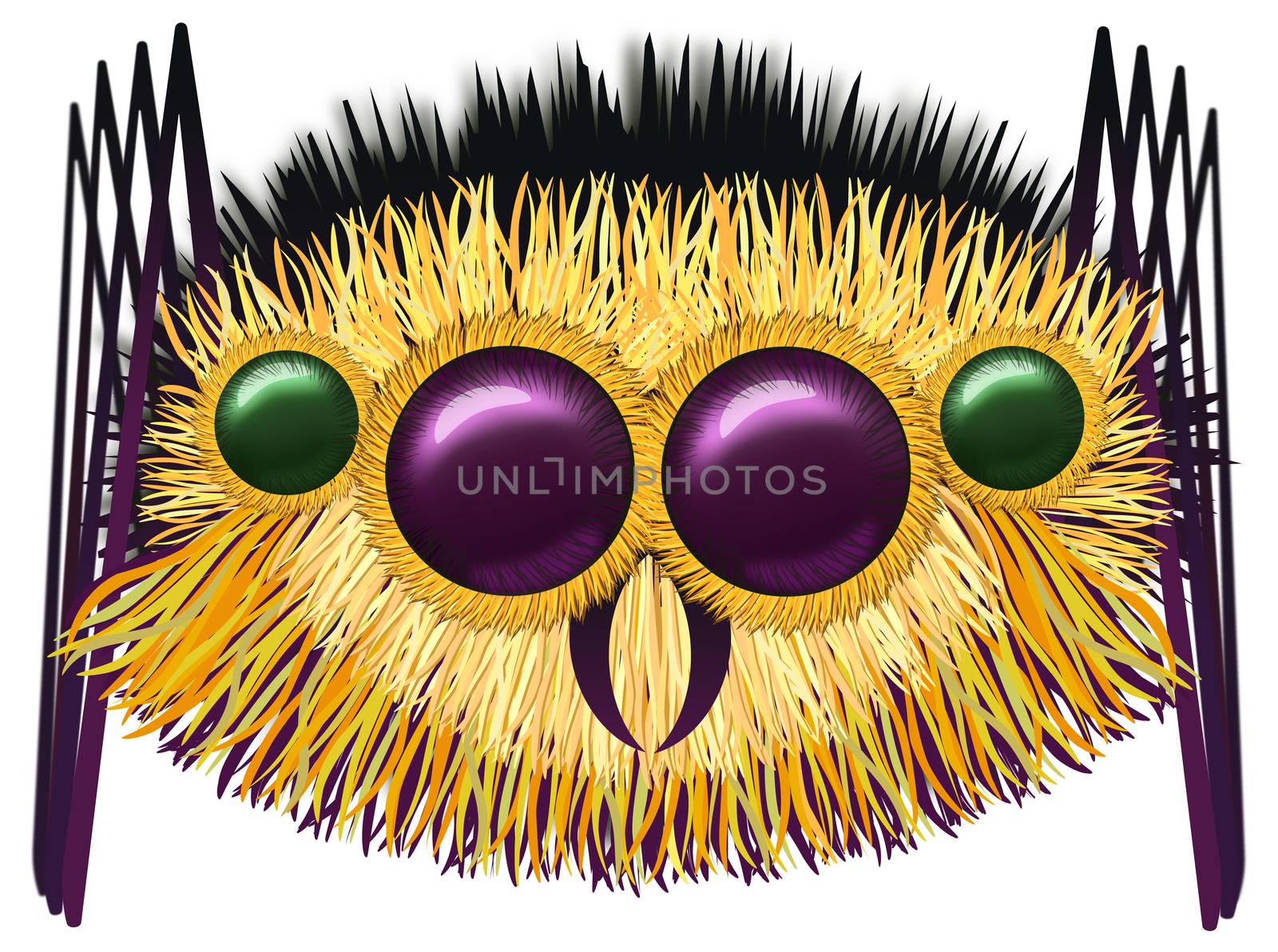 Image of the huge hairy spider - illustration