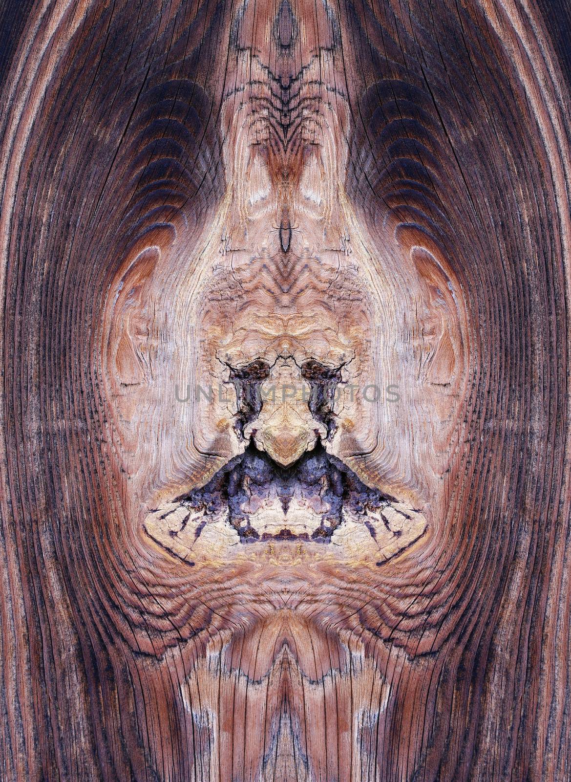 Bizarre knot in wood - wooden texture by Mibuch