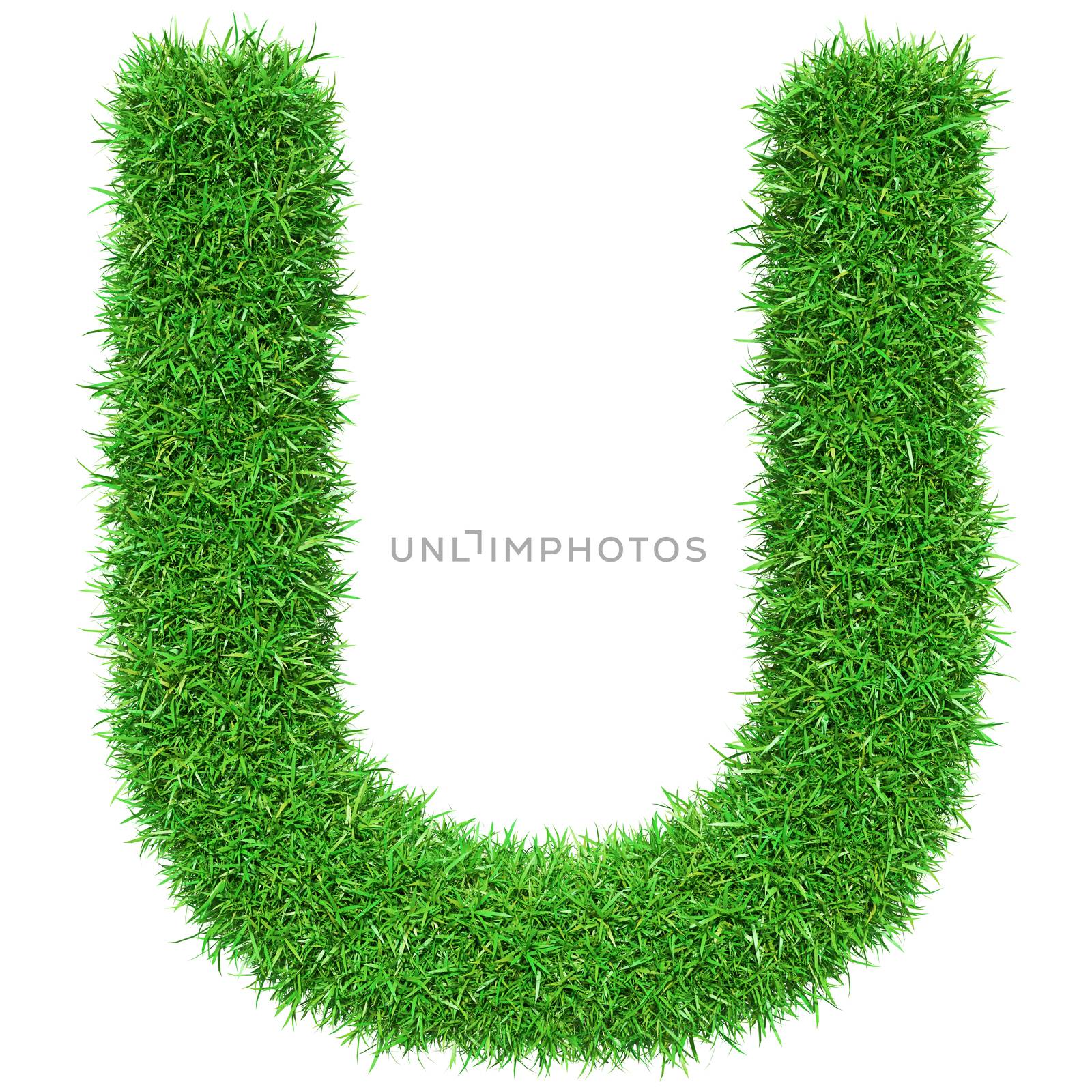 Green Grass Letter U by cherezoff