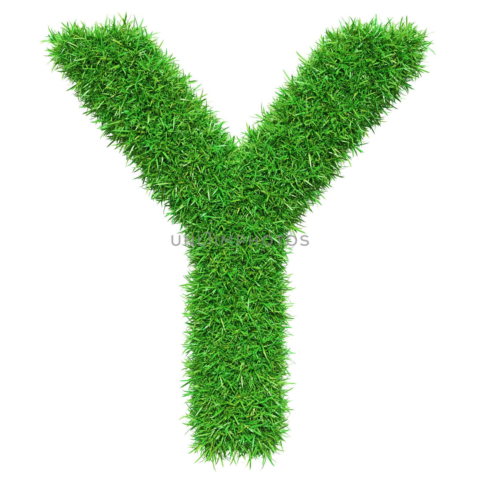 Green Grass Letter Y by cherezoff
