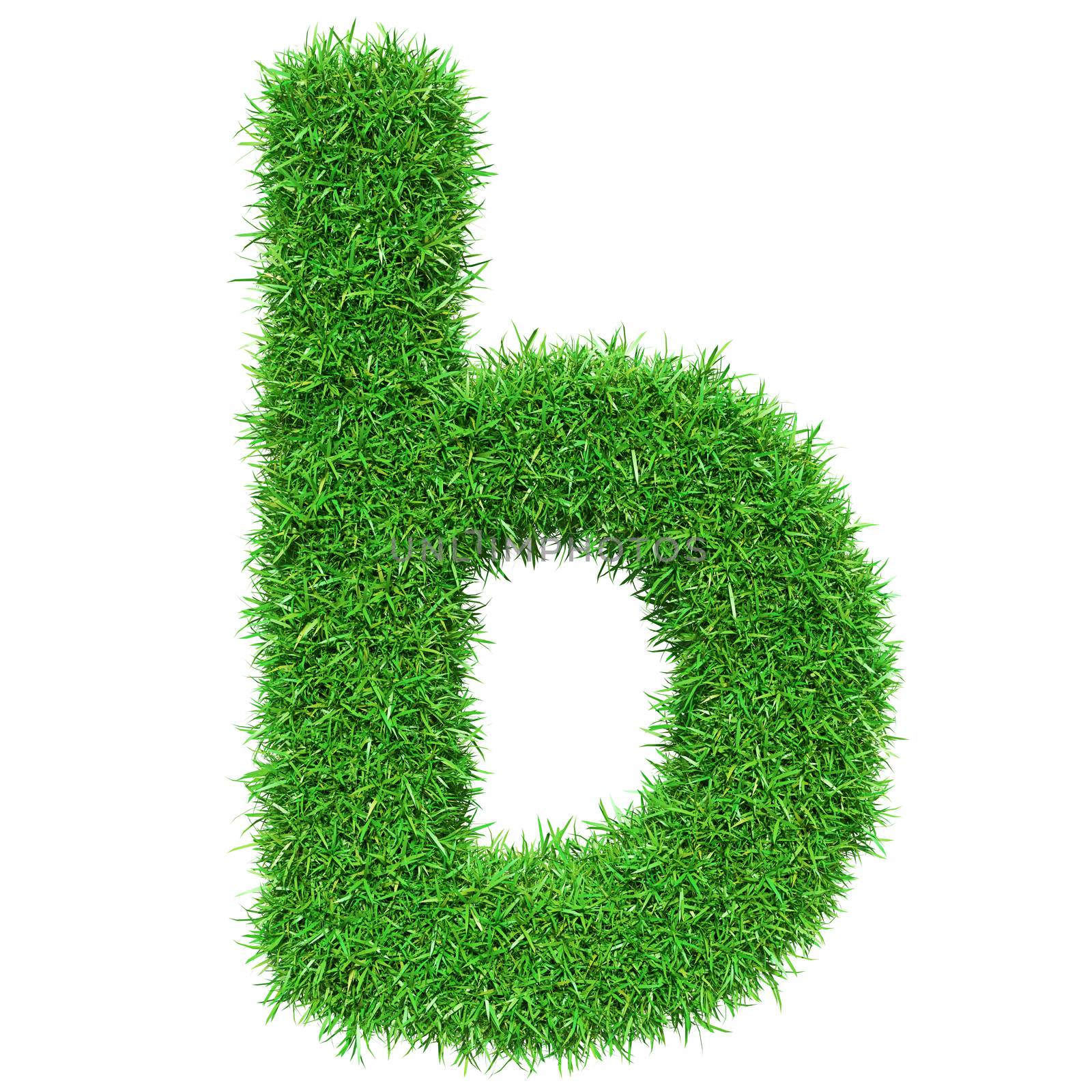 Green Grass Letter B by cherezoff