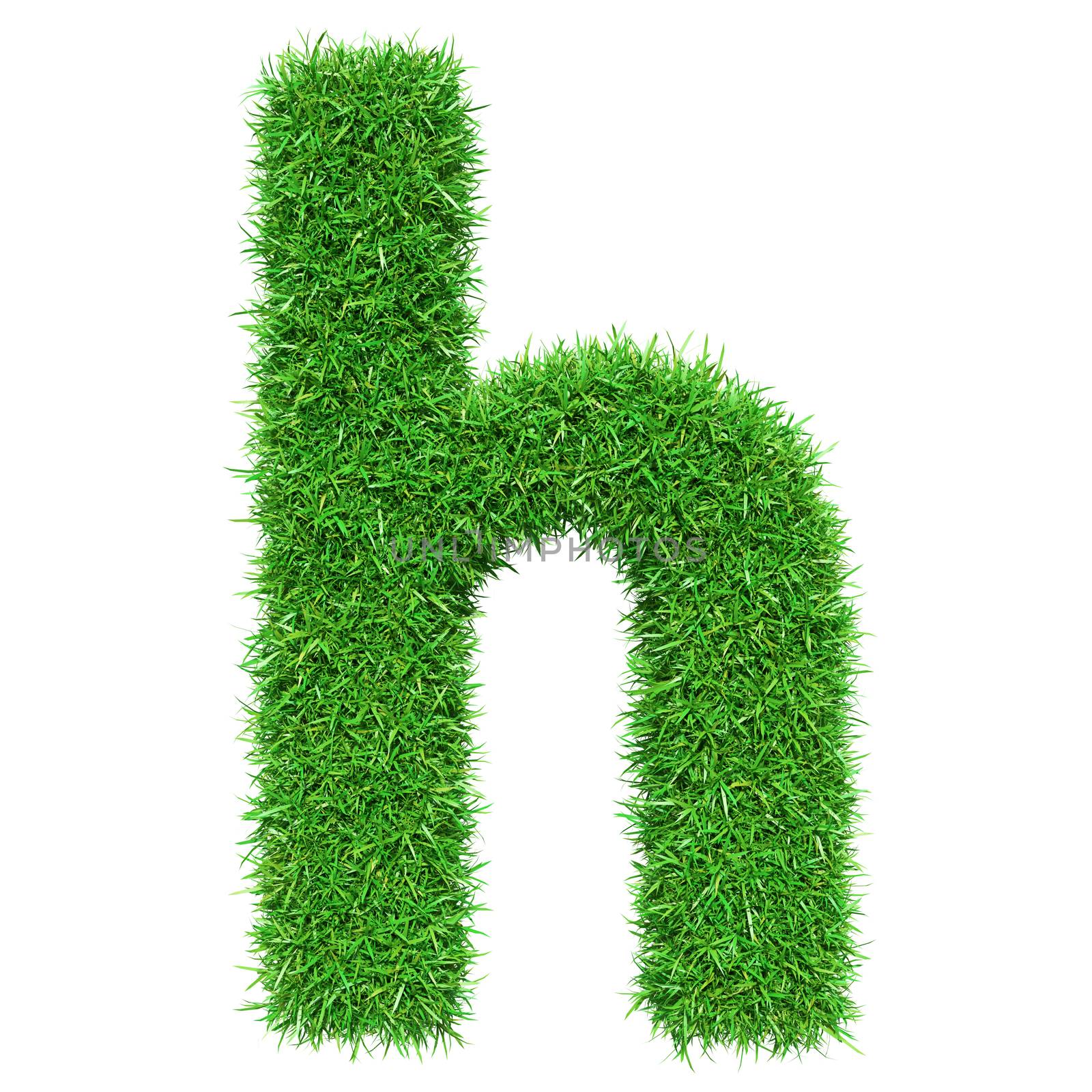 Green Grass Letter H. Isolated On White Background. Font For Your Design. 3D Illustration