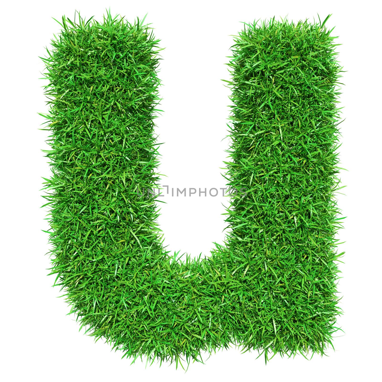 Green Grass Letter U by cherezoff