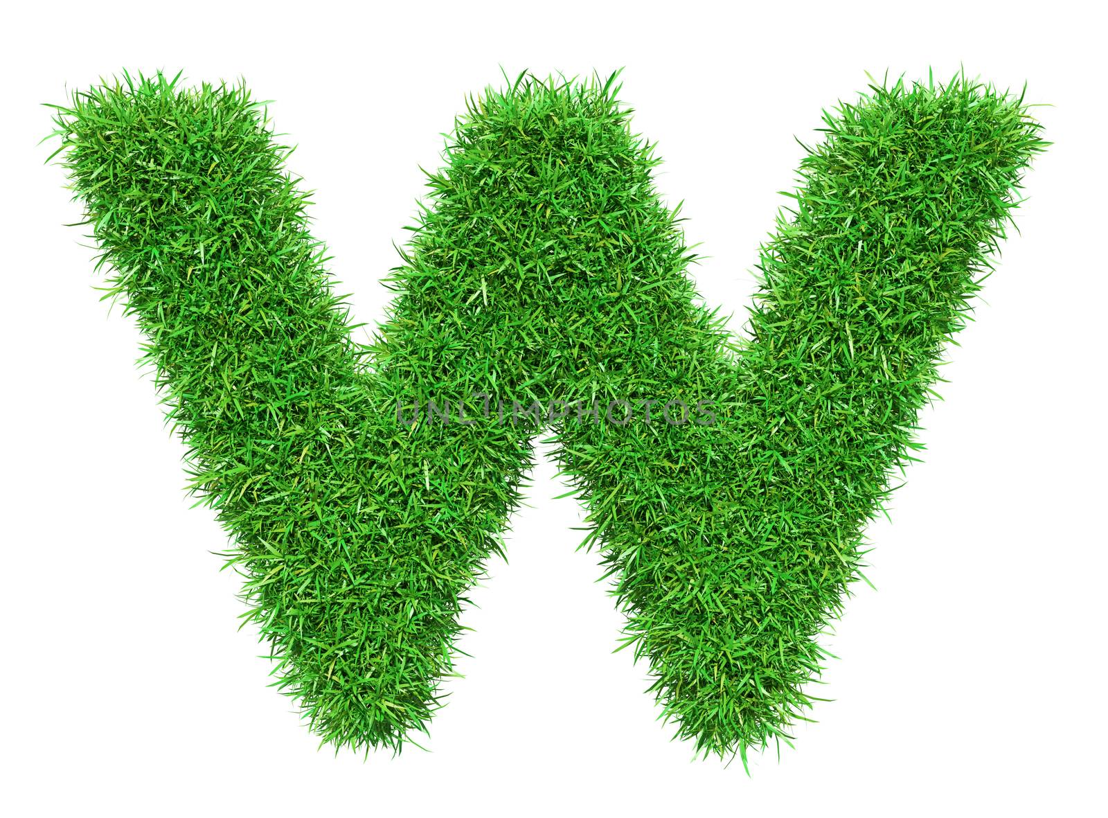 Green Grass Letter W. Isolated On White Background. Font For Your Design. 3D Illustration