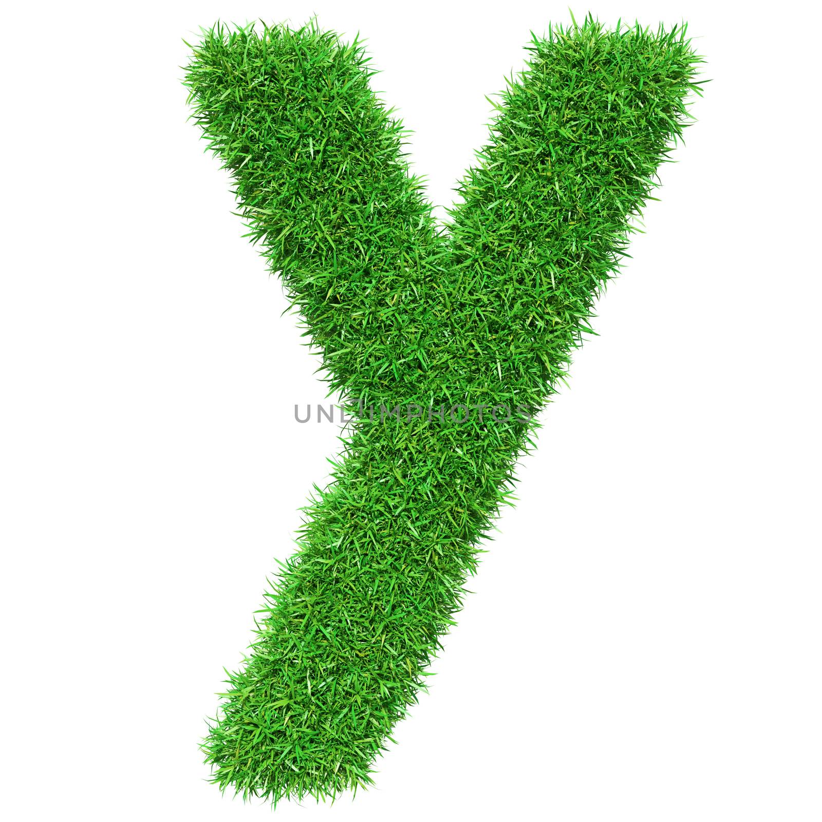Green Grass Letter Y by cherezoff