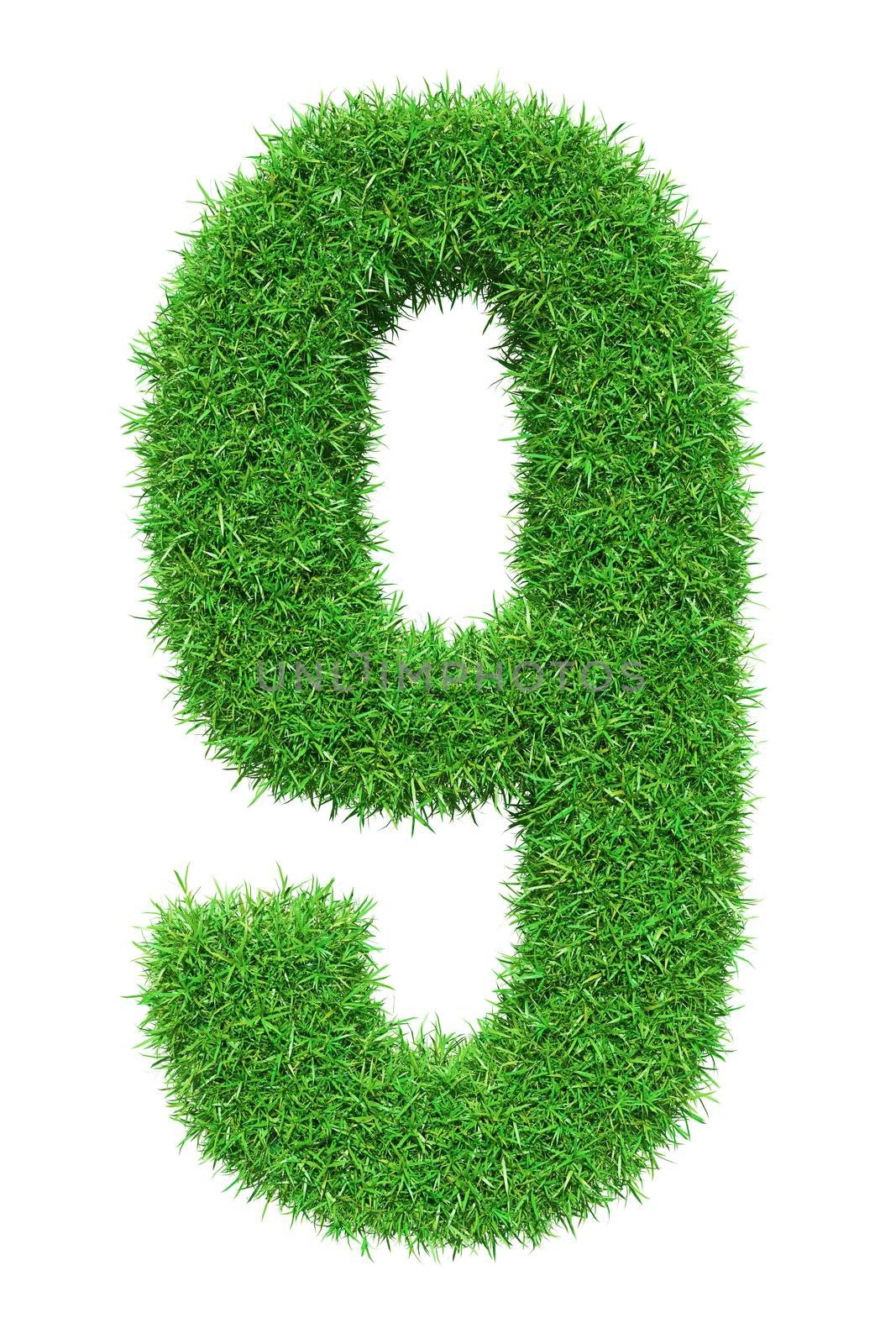 Green grass number 9, isolated on white background. 3D illustration