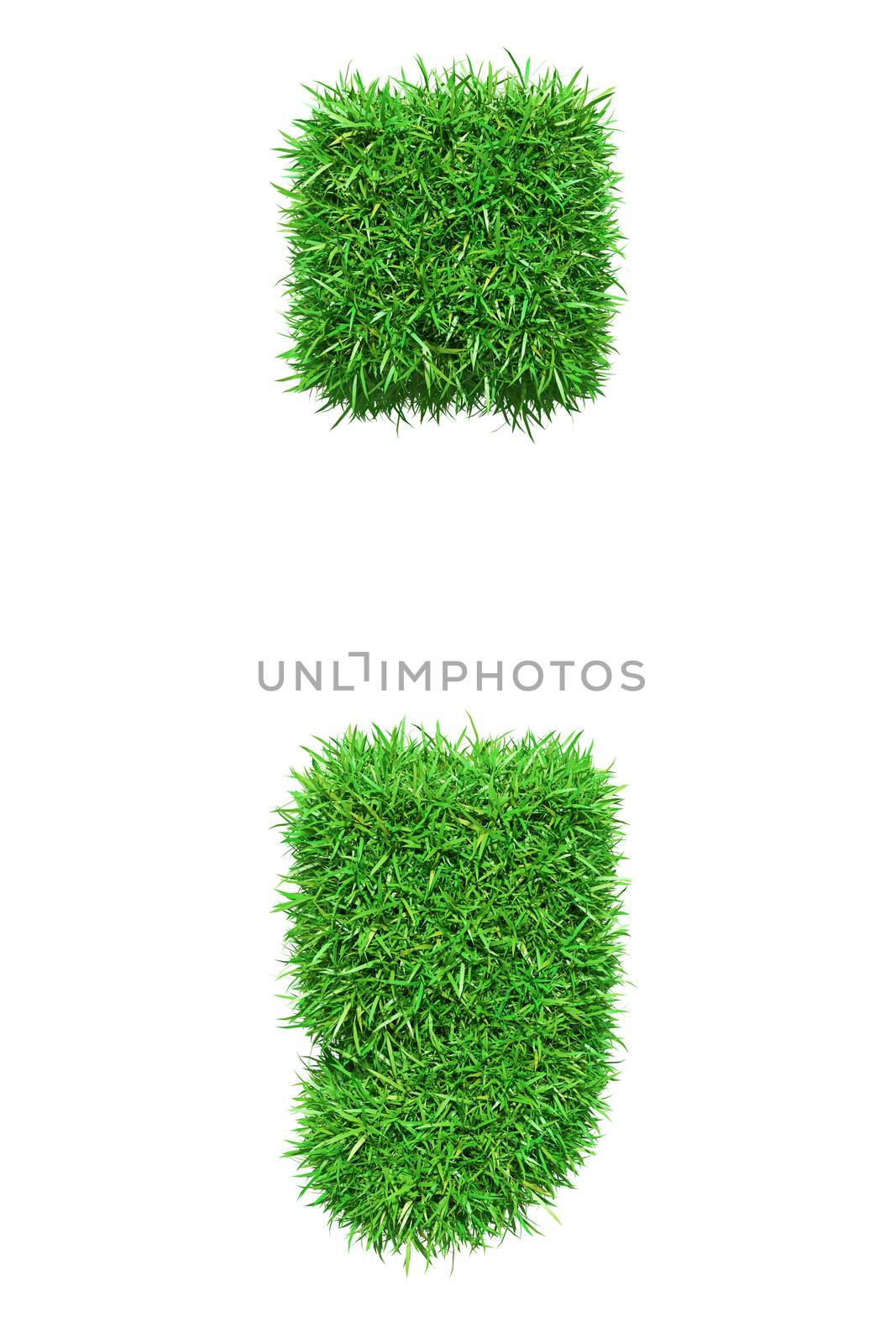 Green grass semicolon, isolated on white background. 3D illustration