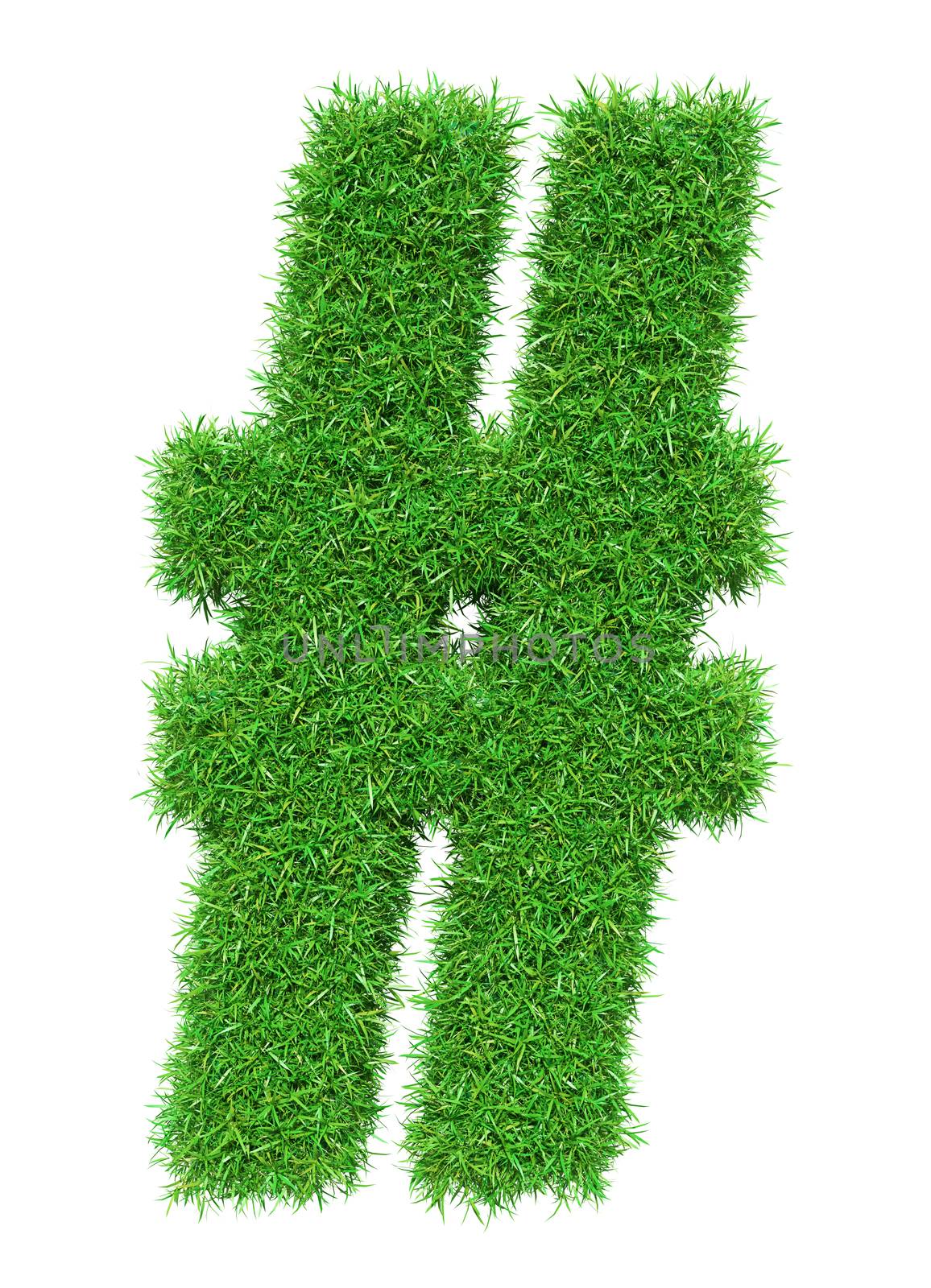 Green grass lattice, isolated on white background. 3D illustration