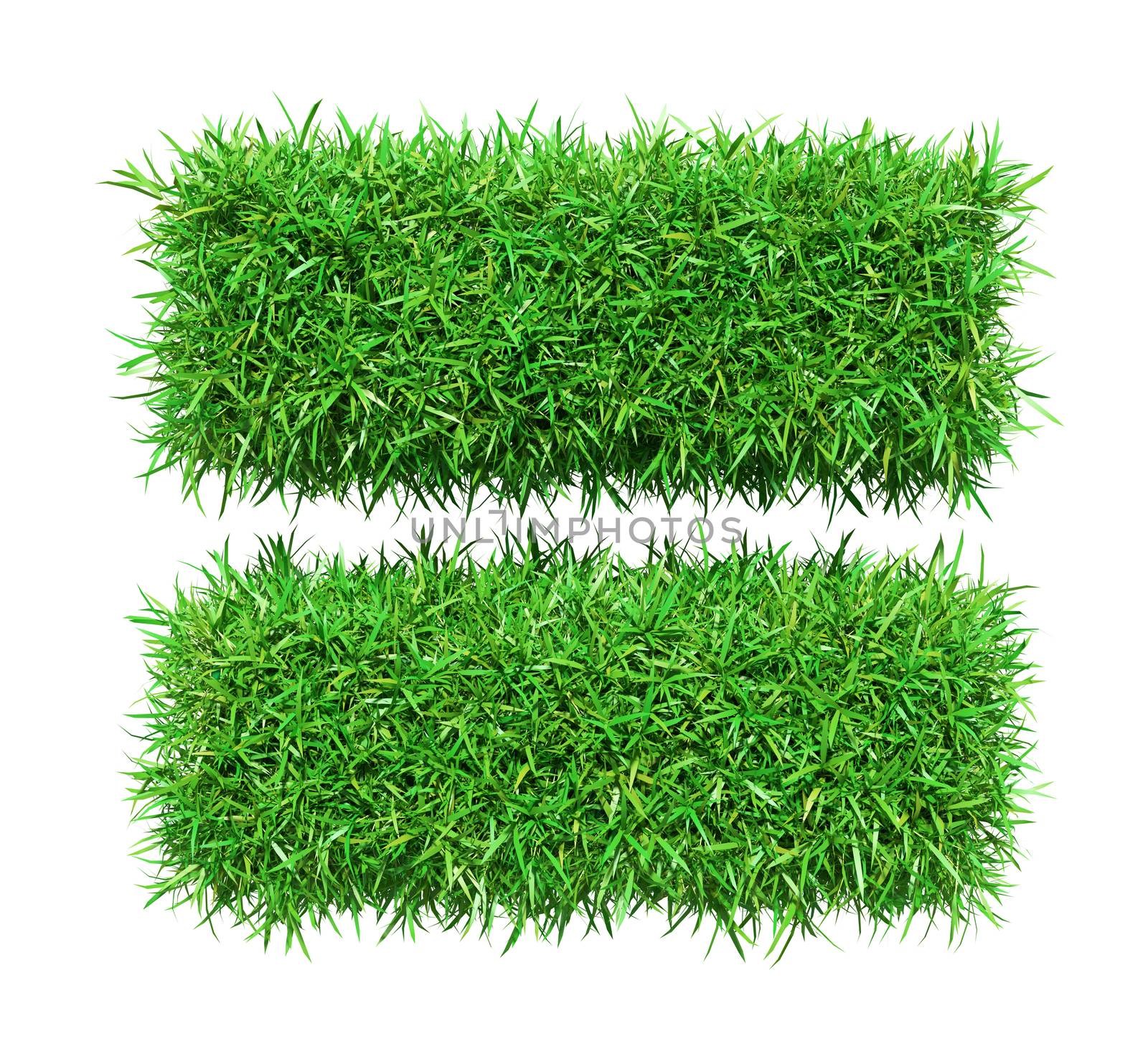 Green grass equally, isolated on white background. 3D illustration