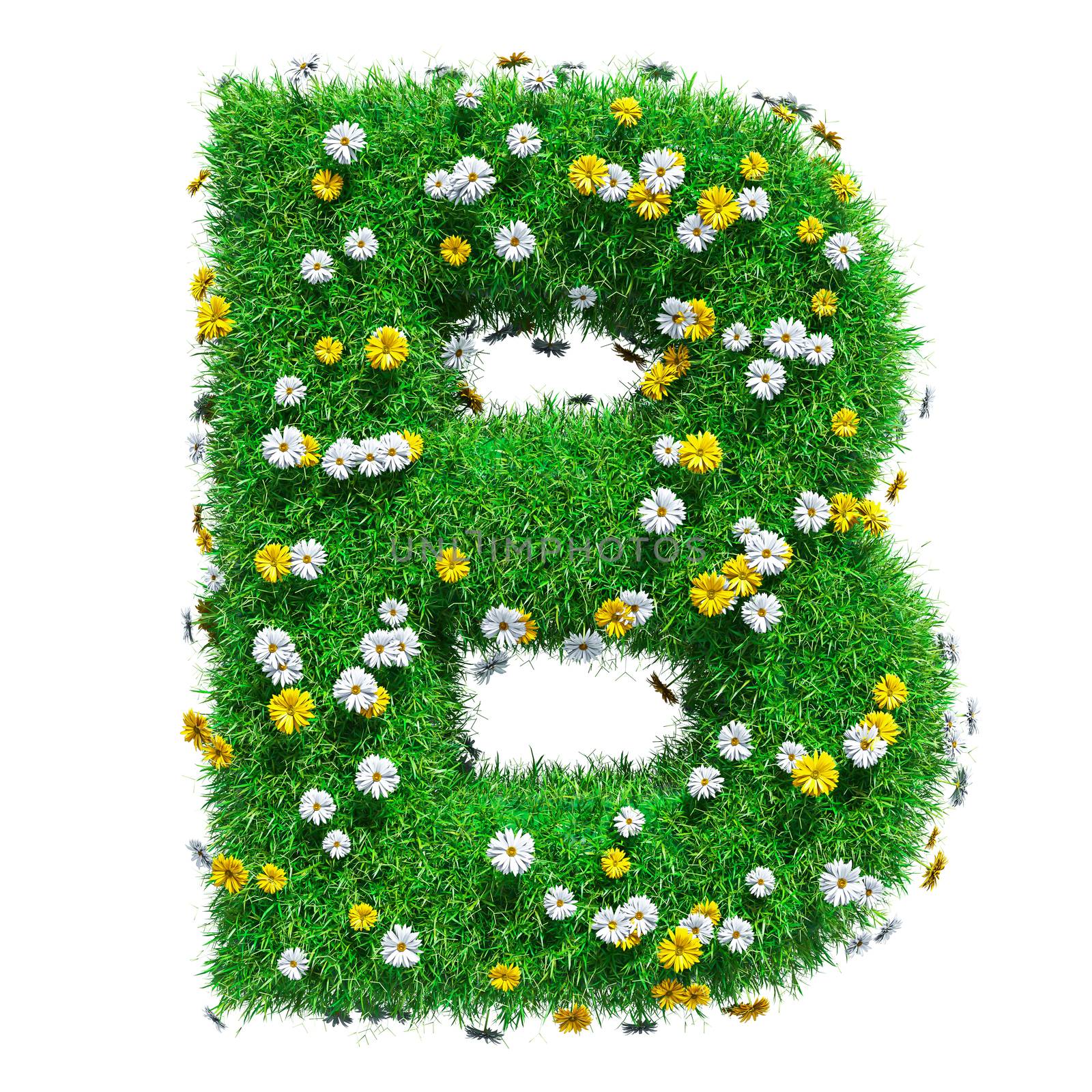 Letter B Of Green Grass And Flowers. Isolated On White Background. Font For Your Design. 3D Illustration