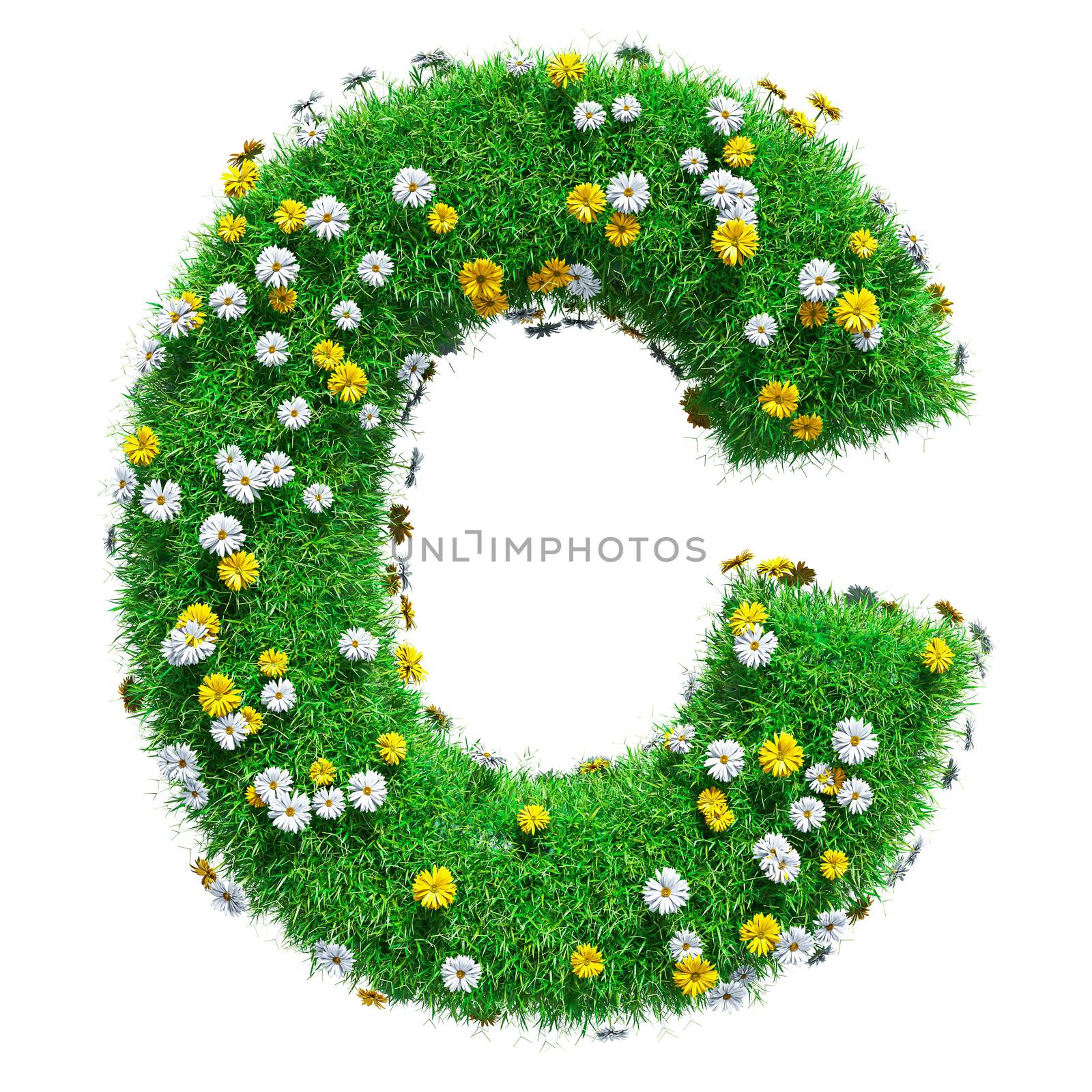 Letter C Of Green Grass And Flowers. Isolated On White Background. Font For Your Design. 3D Illustration