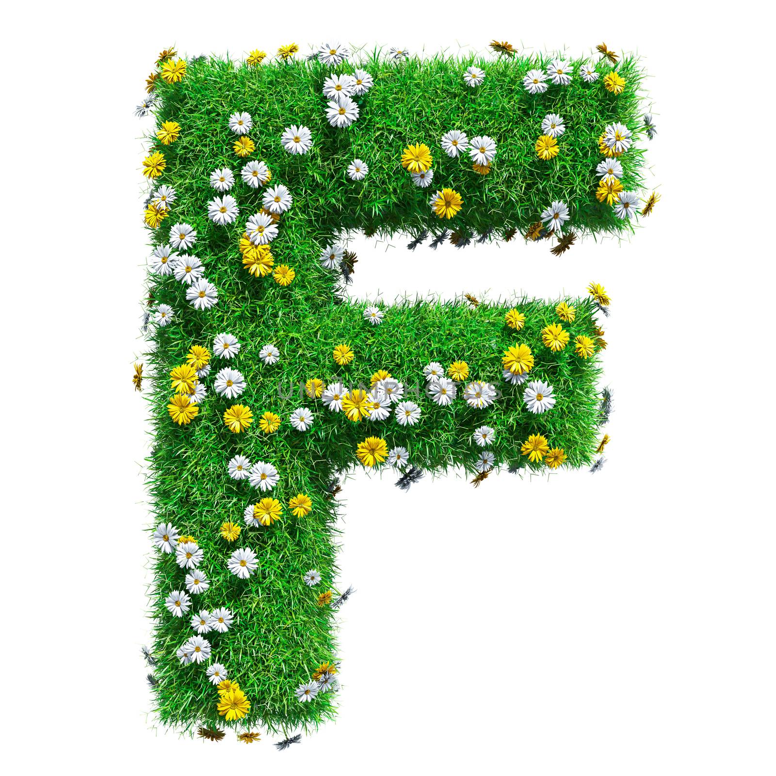 Letter F Of Green Grass And Flowers. Isolated On White Background. Font For Your Design. 3D Illustration