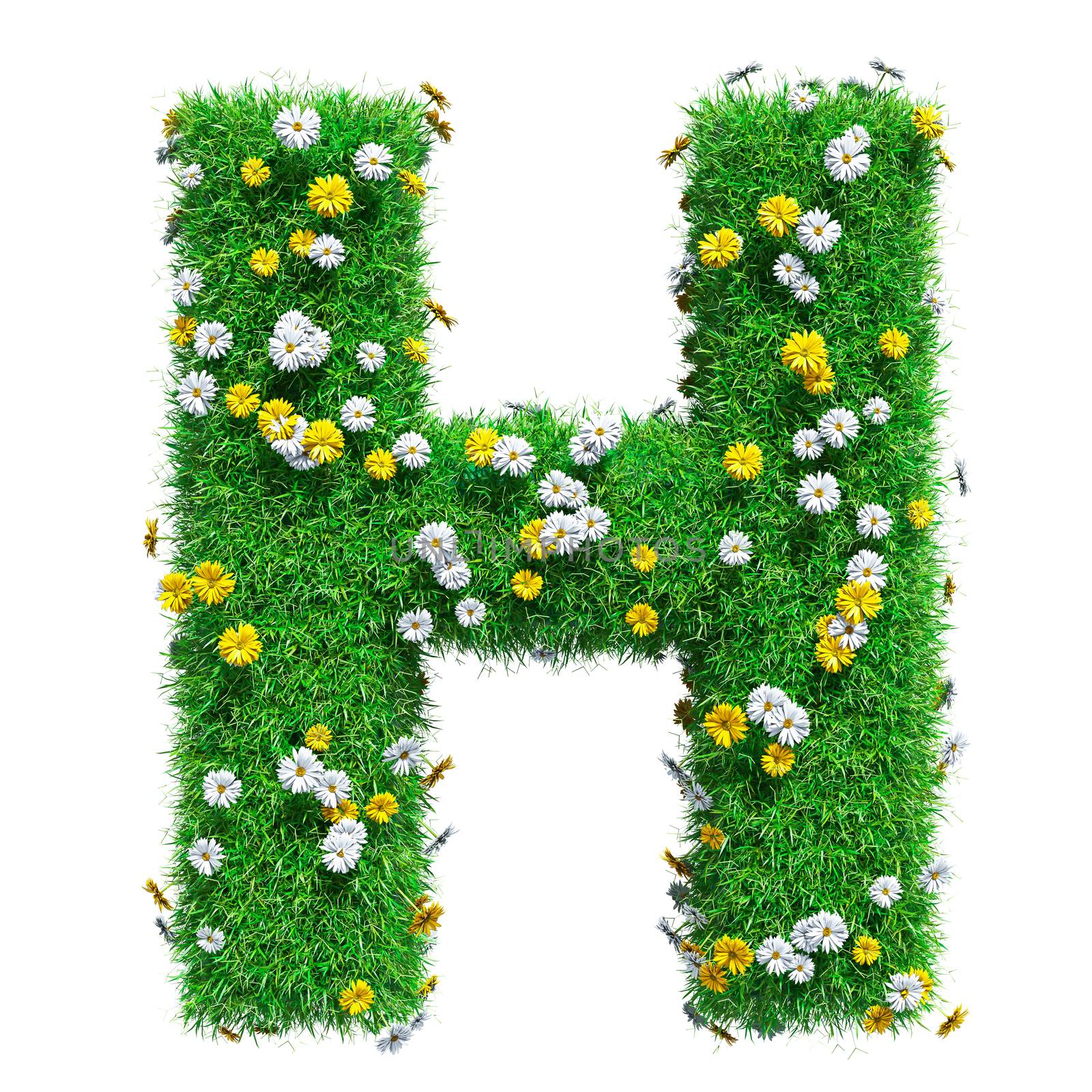 Letter H Of Green Grass And Flowers. Isolated On White Background. Font For Your Design. 3D Illustration