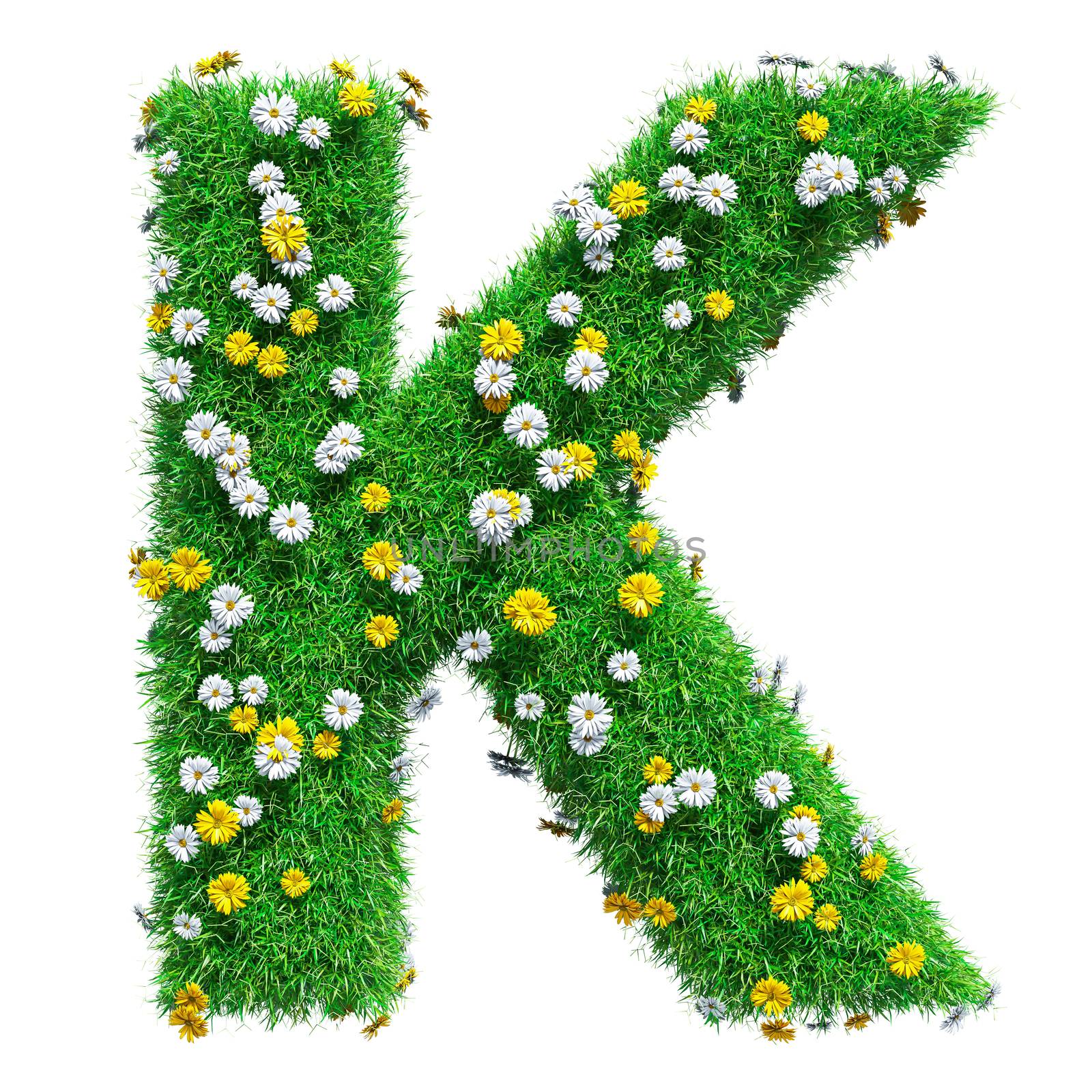 Letter K Of Green Grass And Flowers by cherezoff
