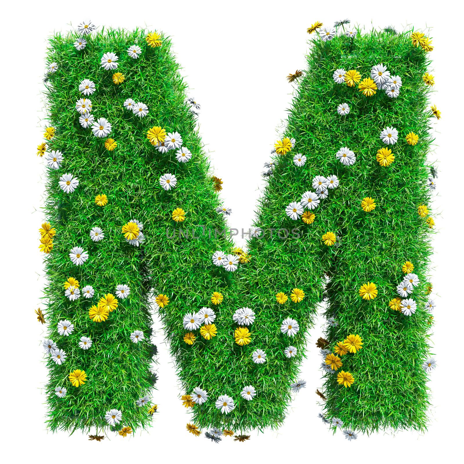 Letter M Of Green Grass And Flowers by cherezoff