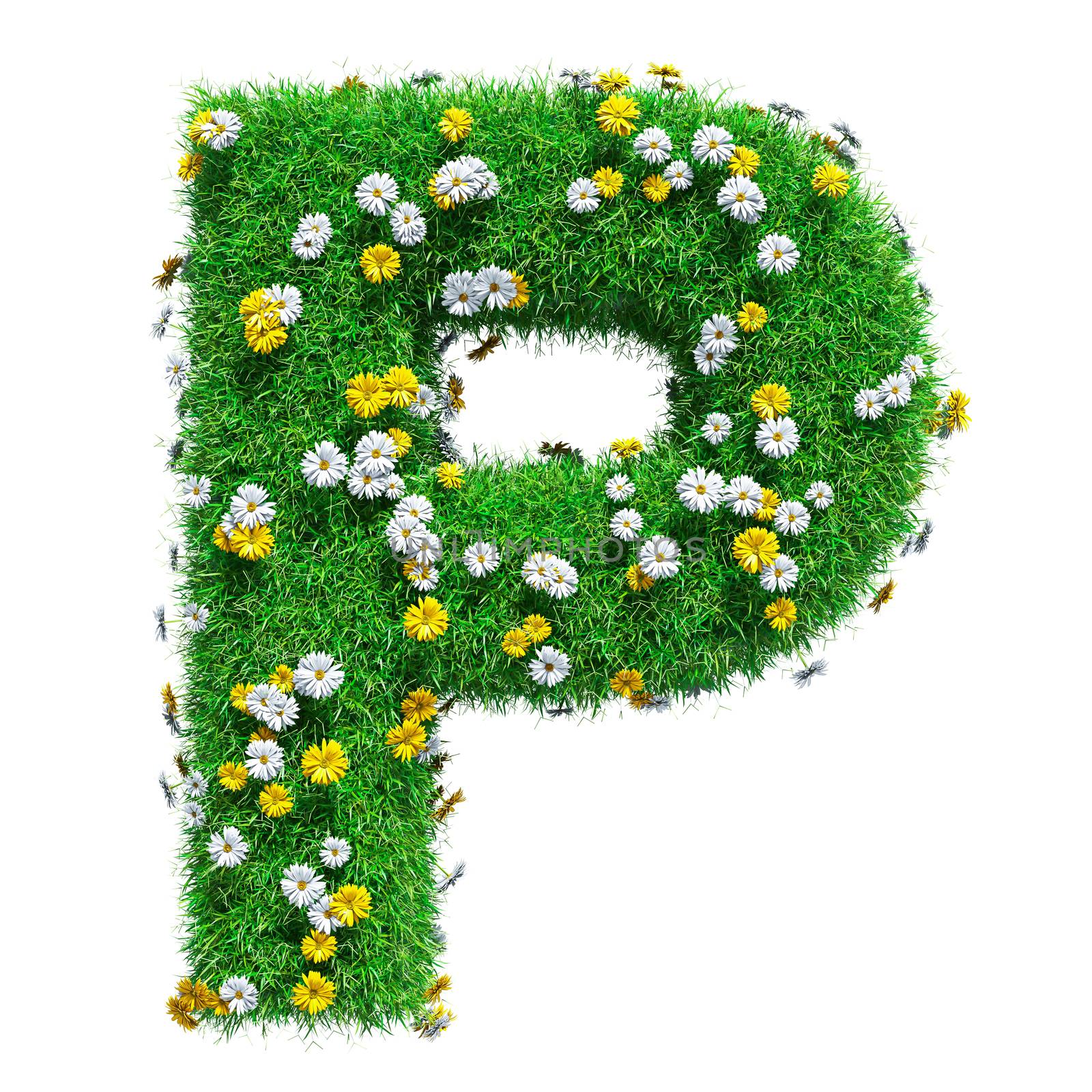 Letter P Of Green Grass And Flowers by cherezoff