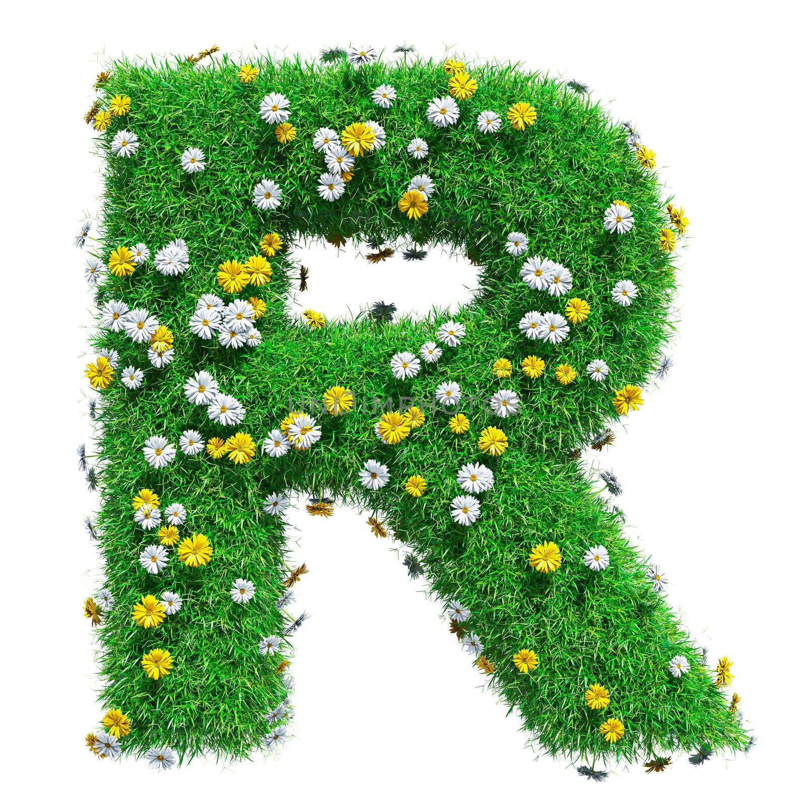 Letter R Of Green Grass And Flowers. Isolated On White Background. Font For Your Design. 3D Illustration