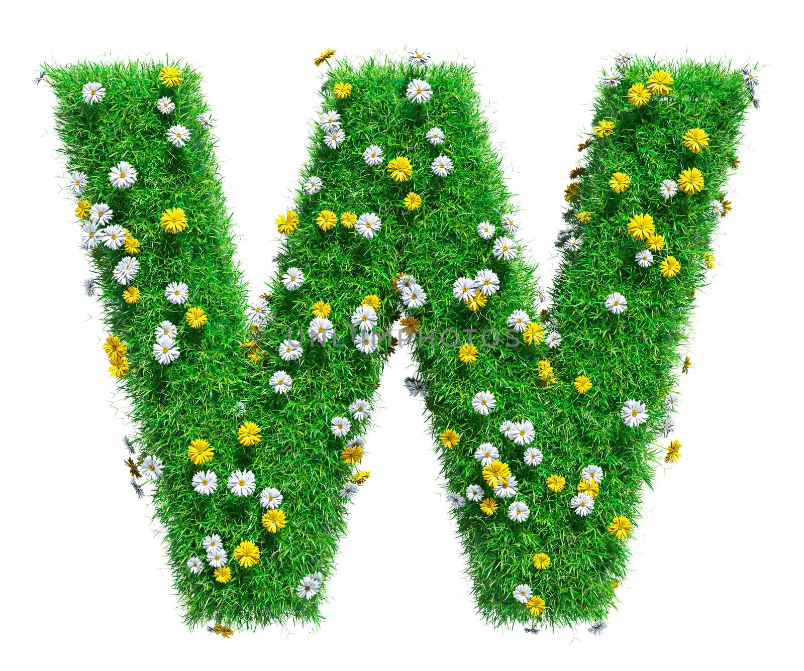 Letter W Of Green Grass And Flowers. Isolated On White Background. Font For Your Design. 3D Illustration