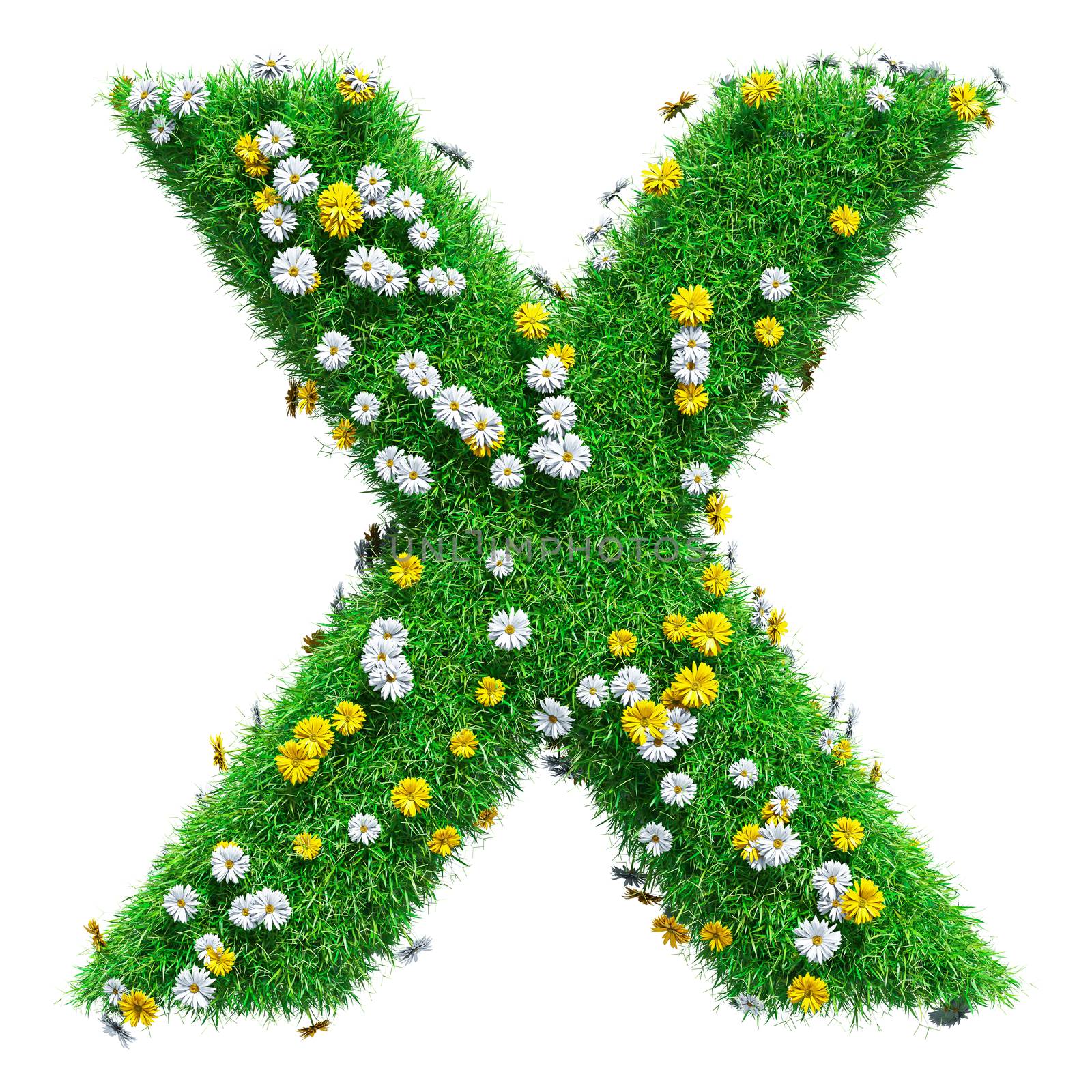 Letter X Of Green Grass And Flowers by cherezoff