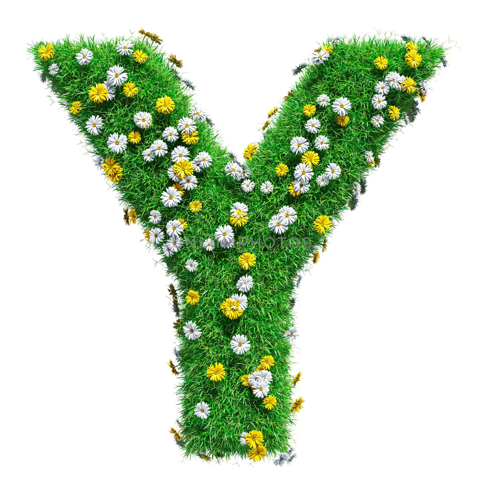 Letter Y Of Green Grass And Flowers. Isolated On White Background. Font For Your Design. 3D Illustration