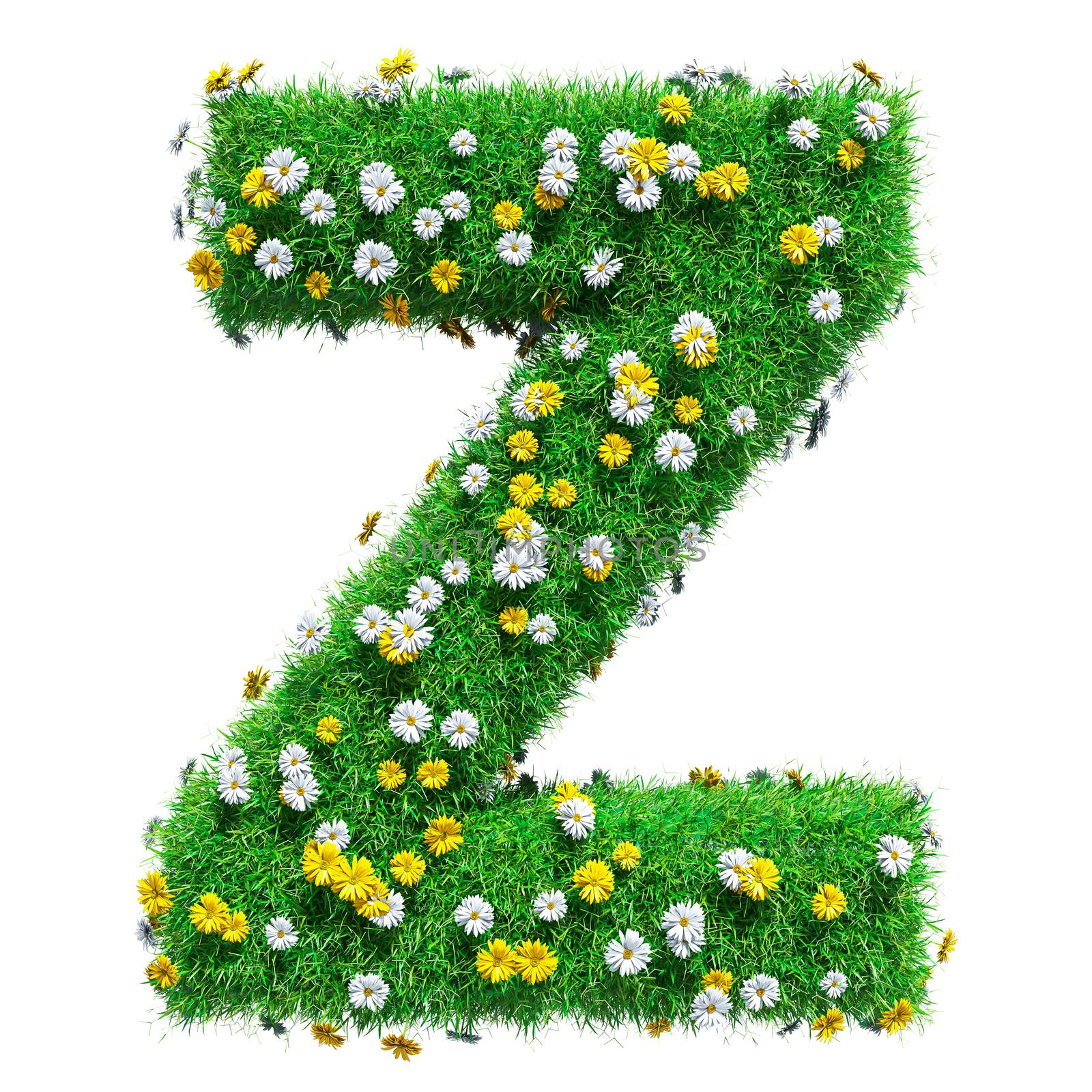 Letter Z Of Green Grass And Flowers. Isolated On White Background. Font For Your Design. 3D Illustration