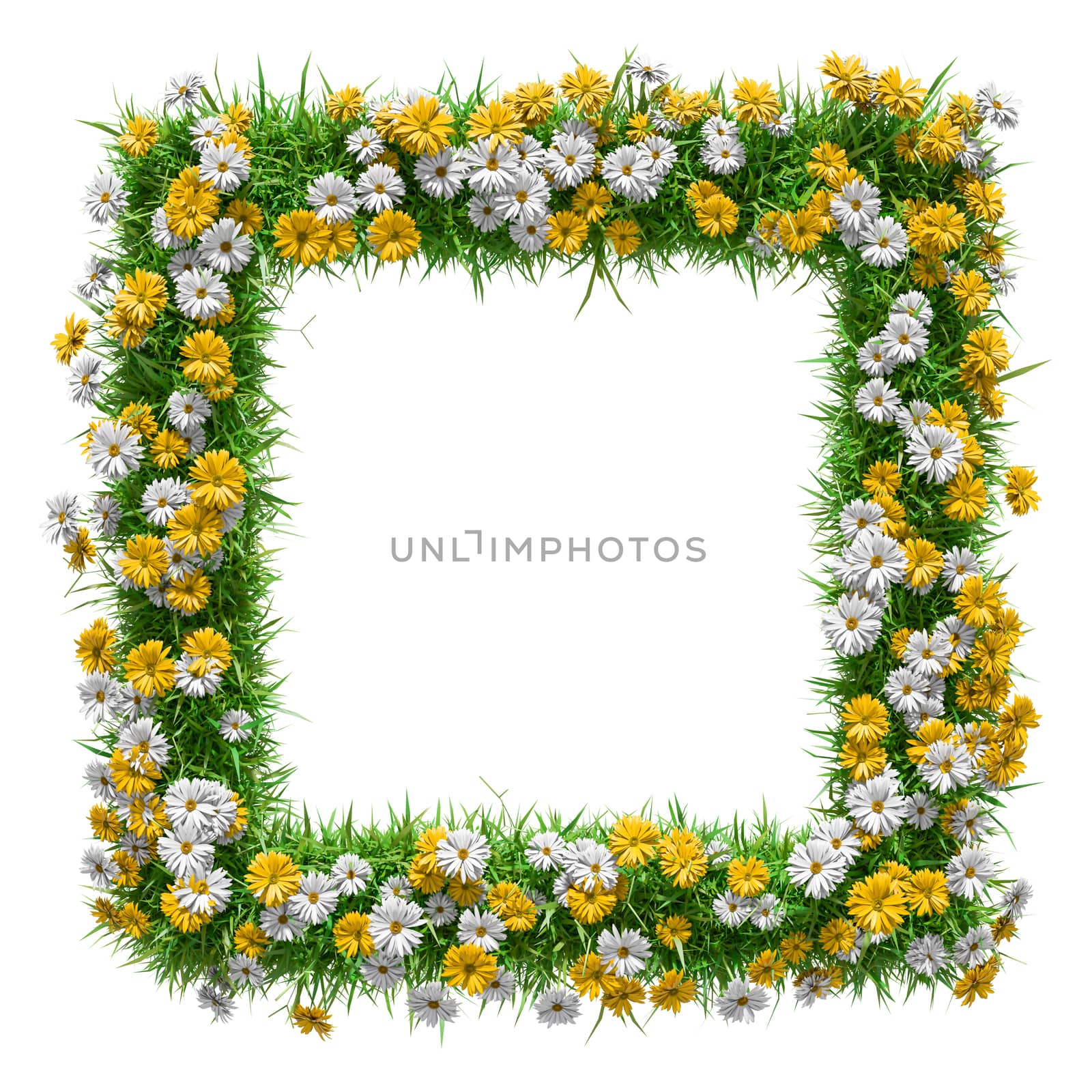 Green grass and flowers square frame by cherezoff