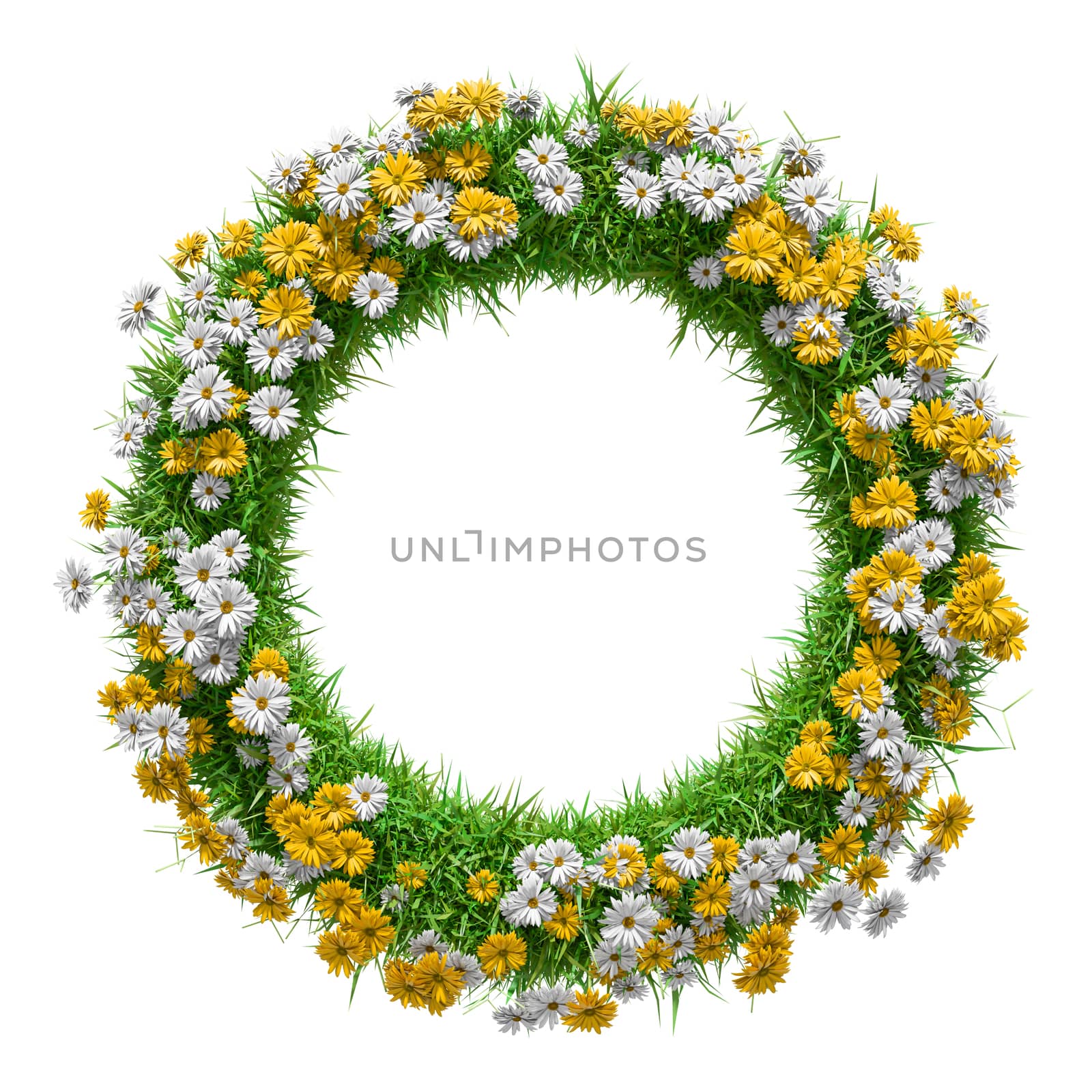 Round natural frame with grass and flowers. 3d illustration