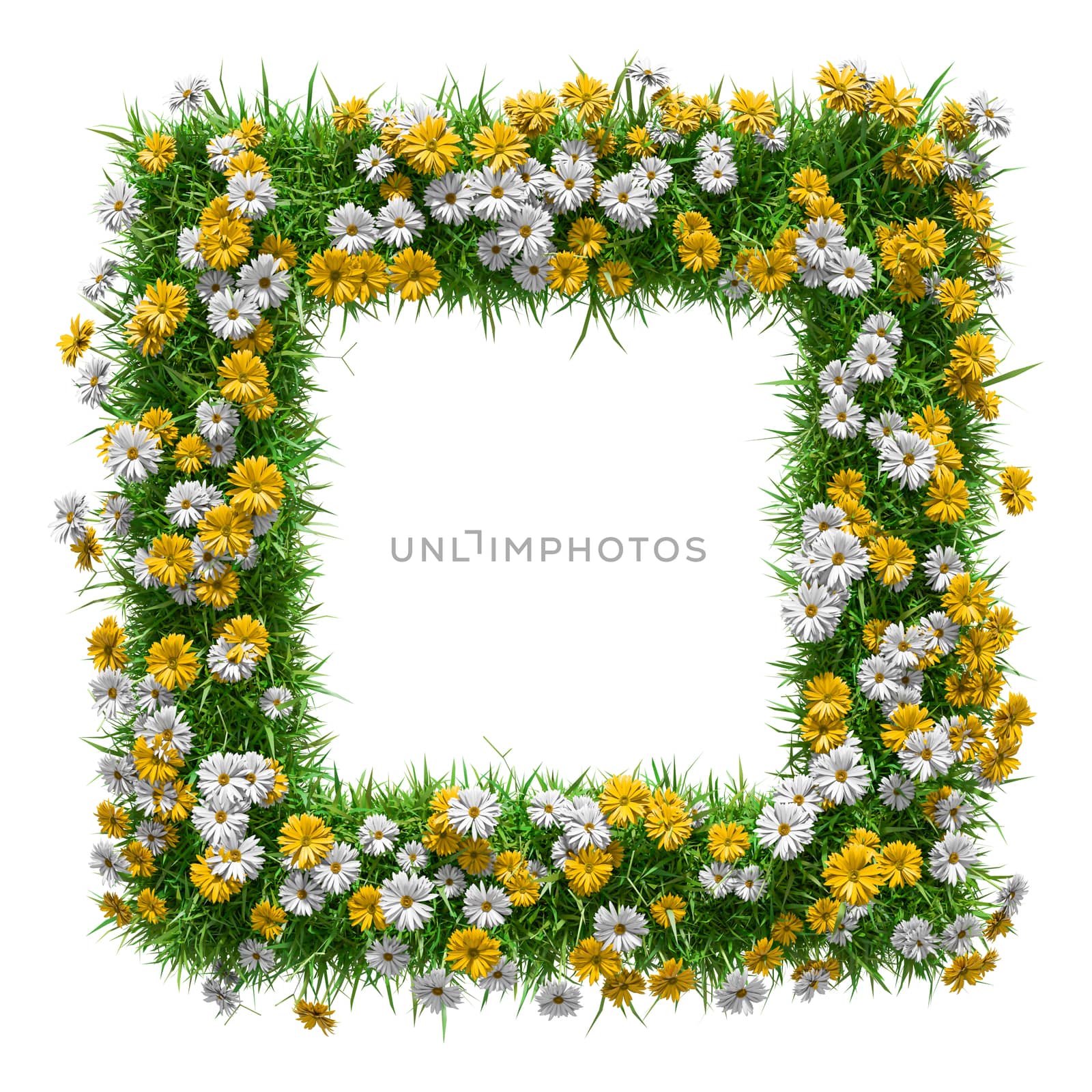 Flowers and green grass frame, top view on white background. Template for your design. 3D illustration