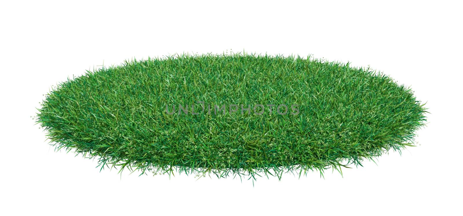 Fresh green grass on white background. 3D illustration. Empty space for your product or text