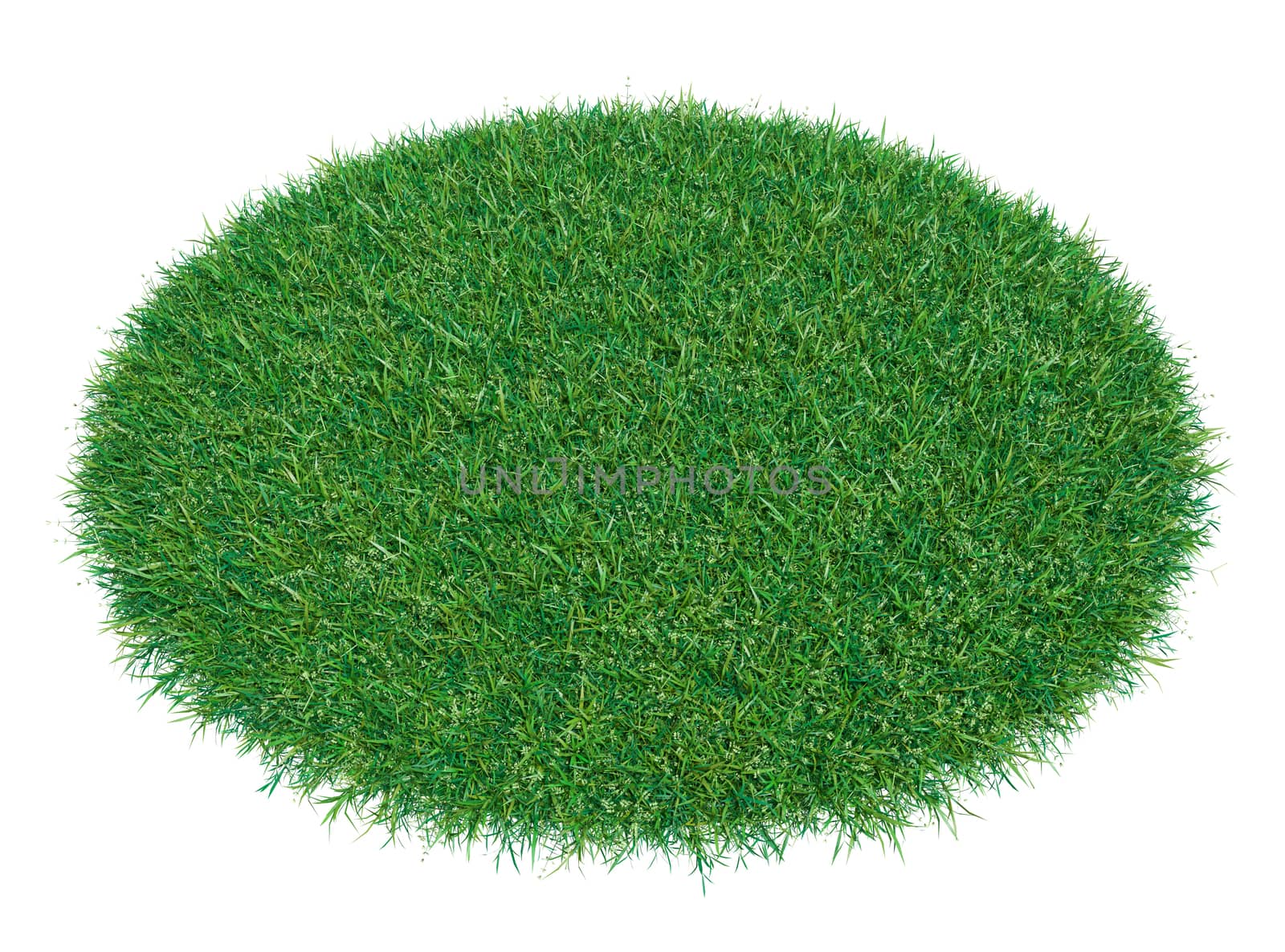 Fresh green grass on white background. 3D illustration. Empty space for your product or text