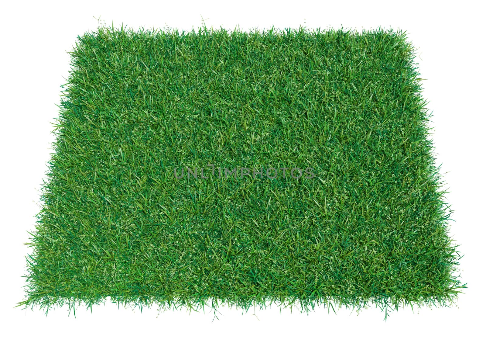 3d rendering of green grass arena, isolated on white background. Empty space for your product or text