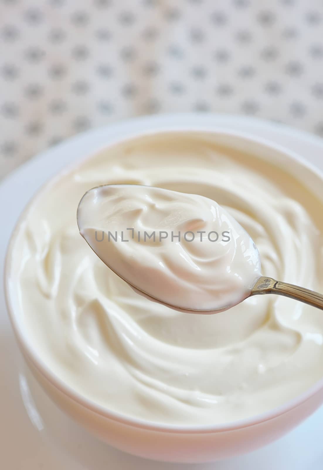 Ceramic bowl of white yoghurt in spoon