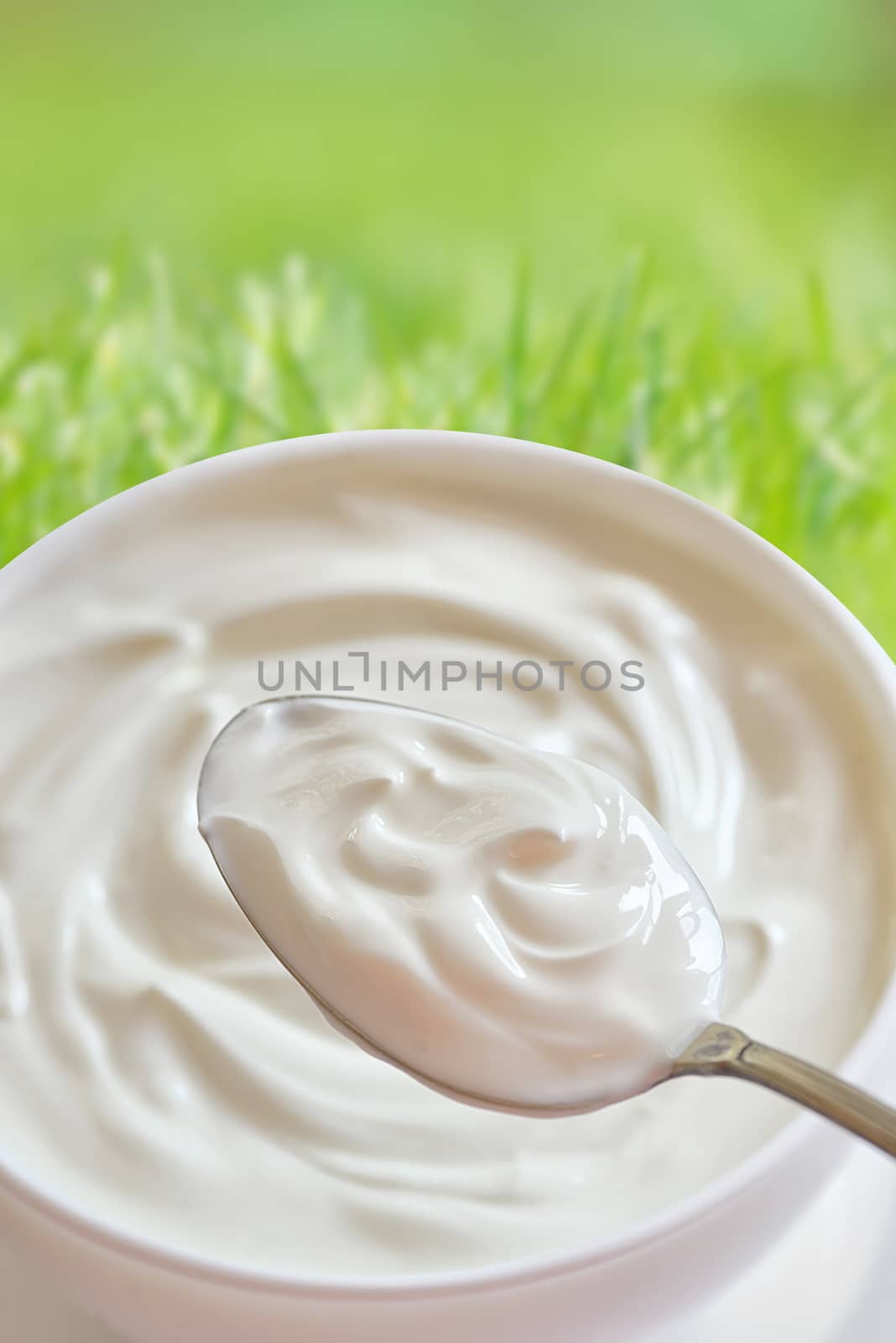 Ceramic bowl of white yoghurt in spoon