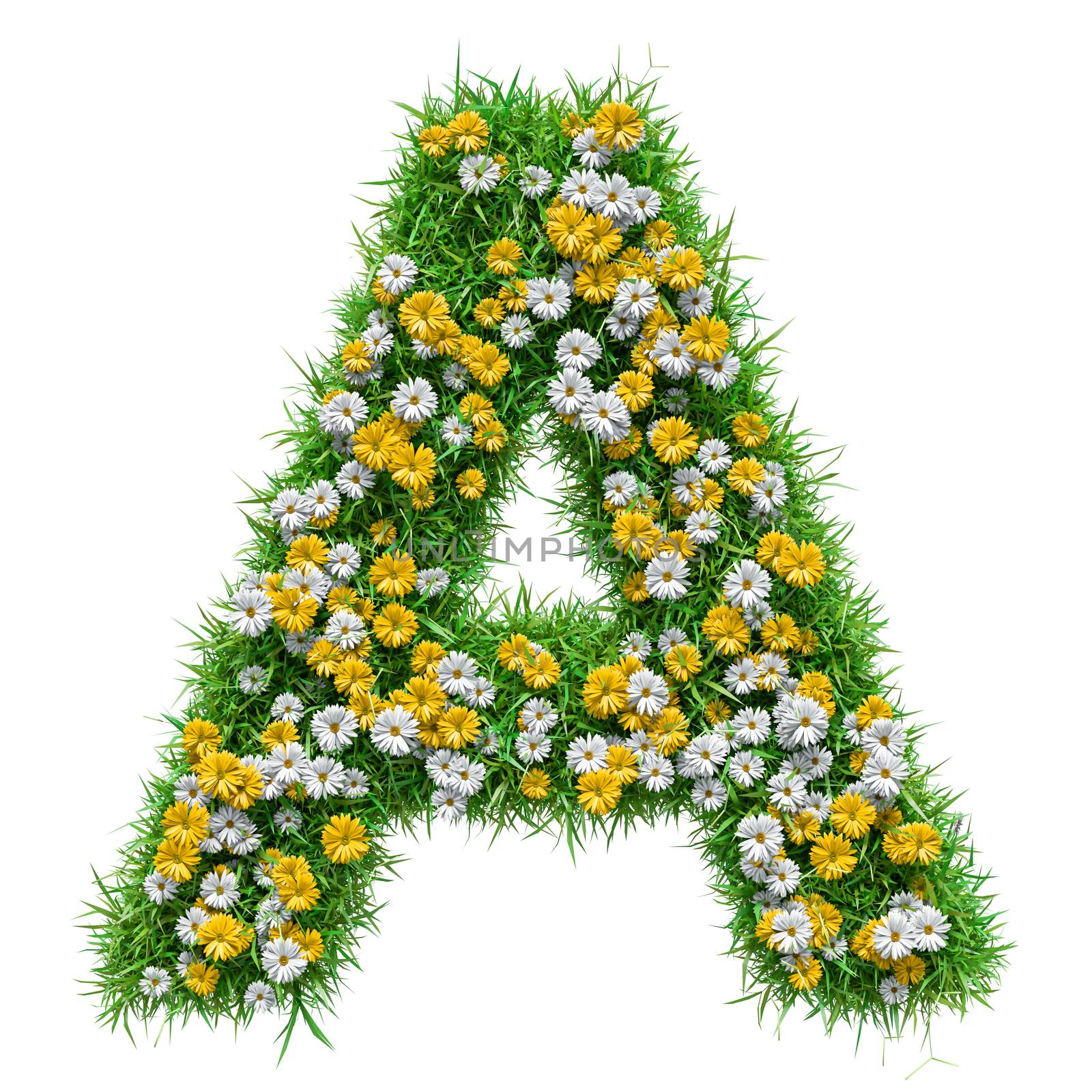 Letter A Of Green Grass And Flowers by cherezoff