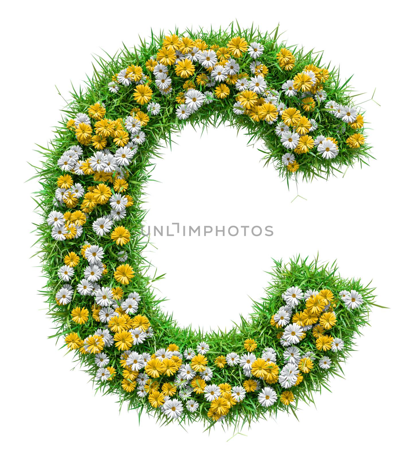 Letter C Of Green Grass And Flowers by cherezoff