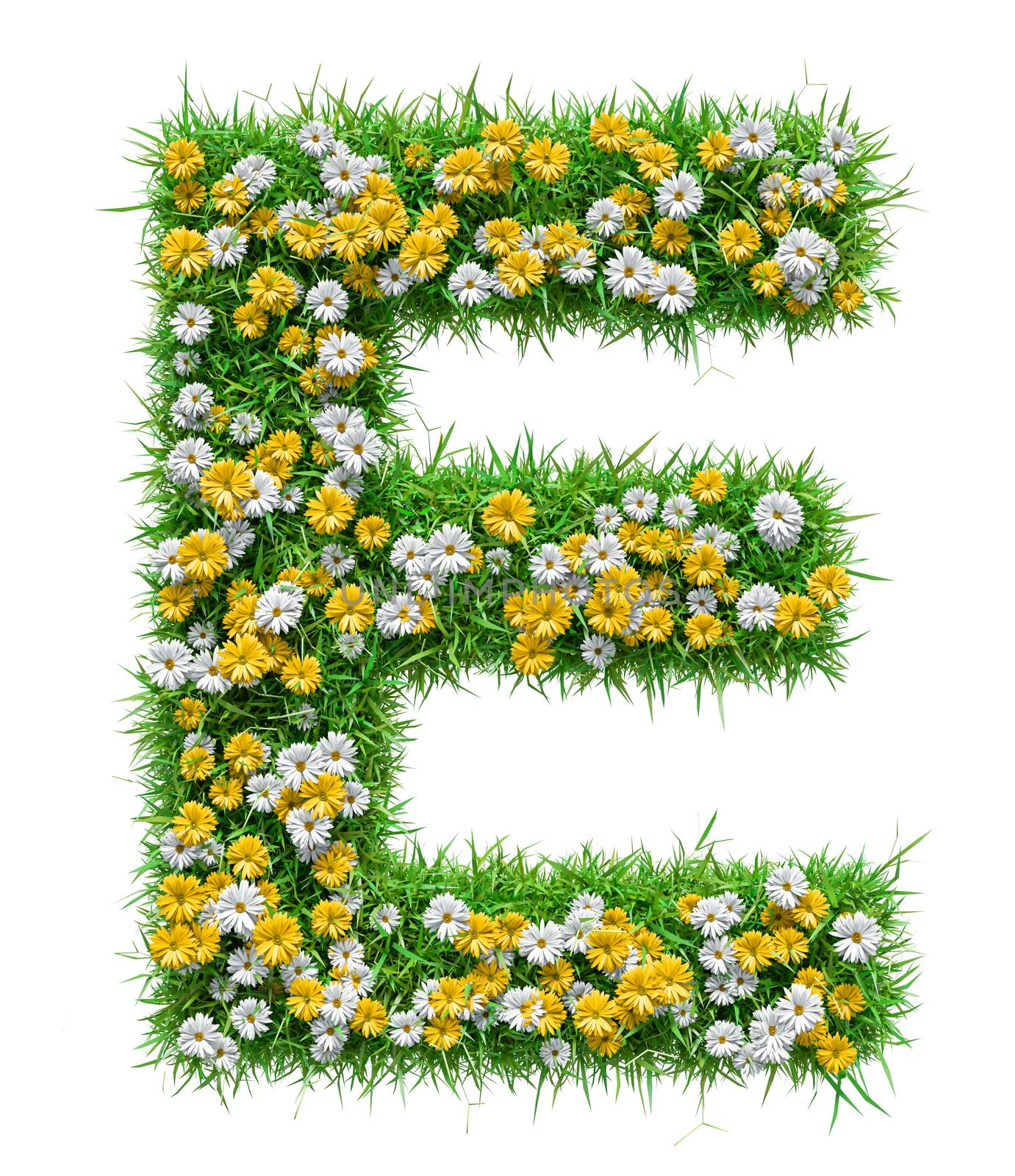 Letter E Of Green Grass And Flowers by cherezoff