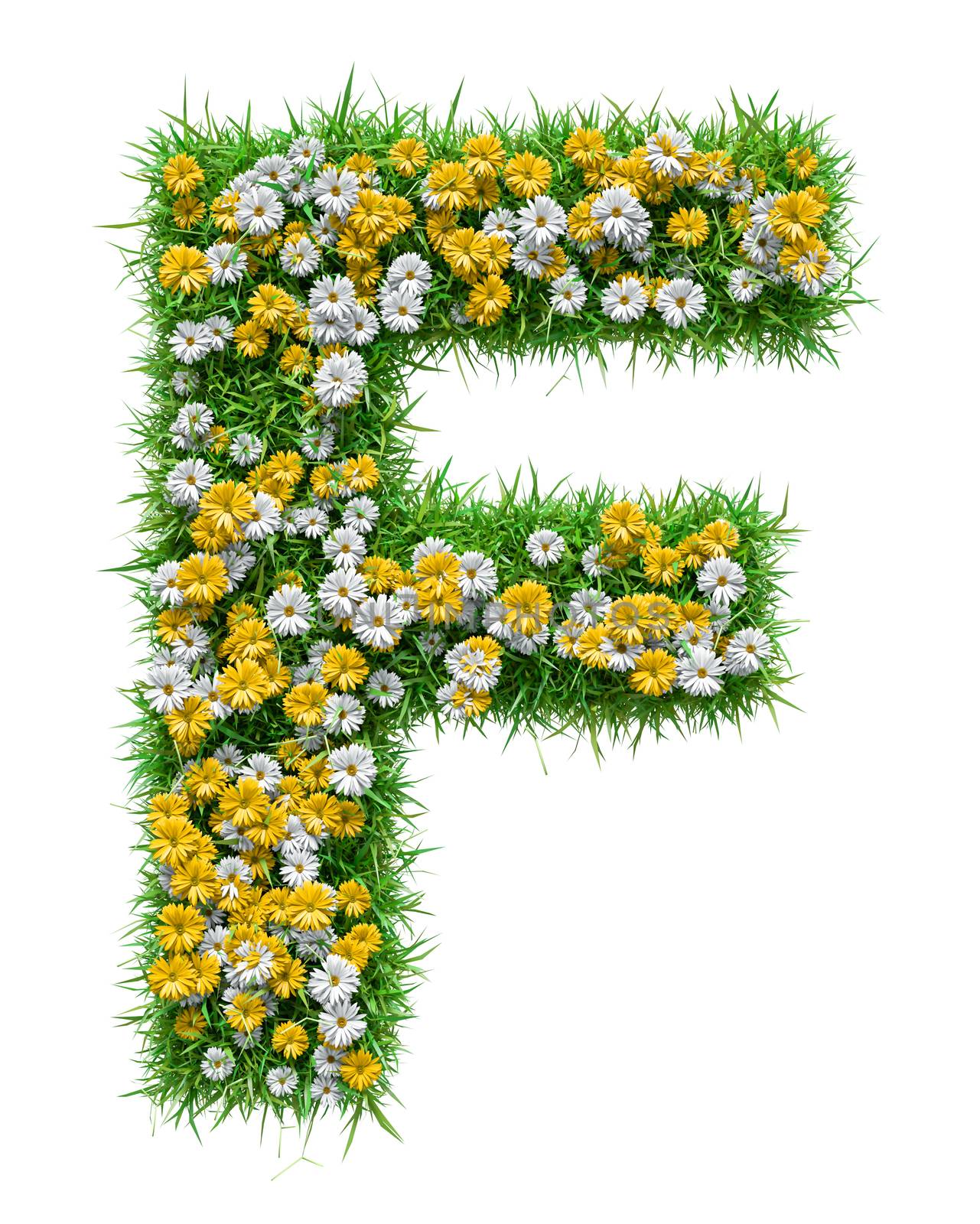Letter F Of Green Grass And Flowers by cherezoff