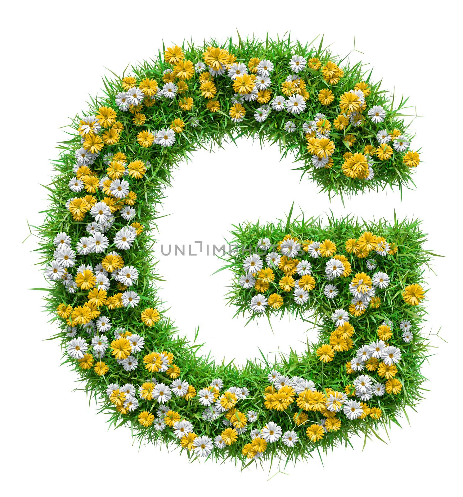 Letter G Of Green Grass And Flowers by cherezoff