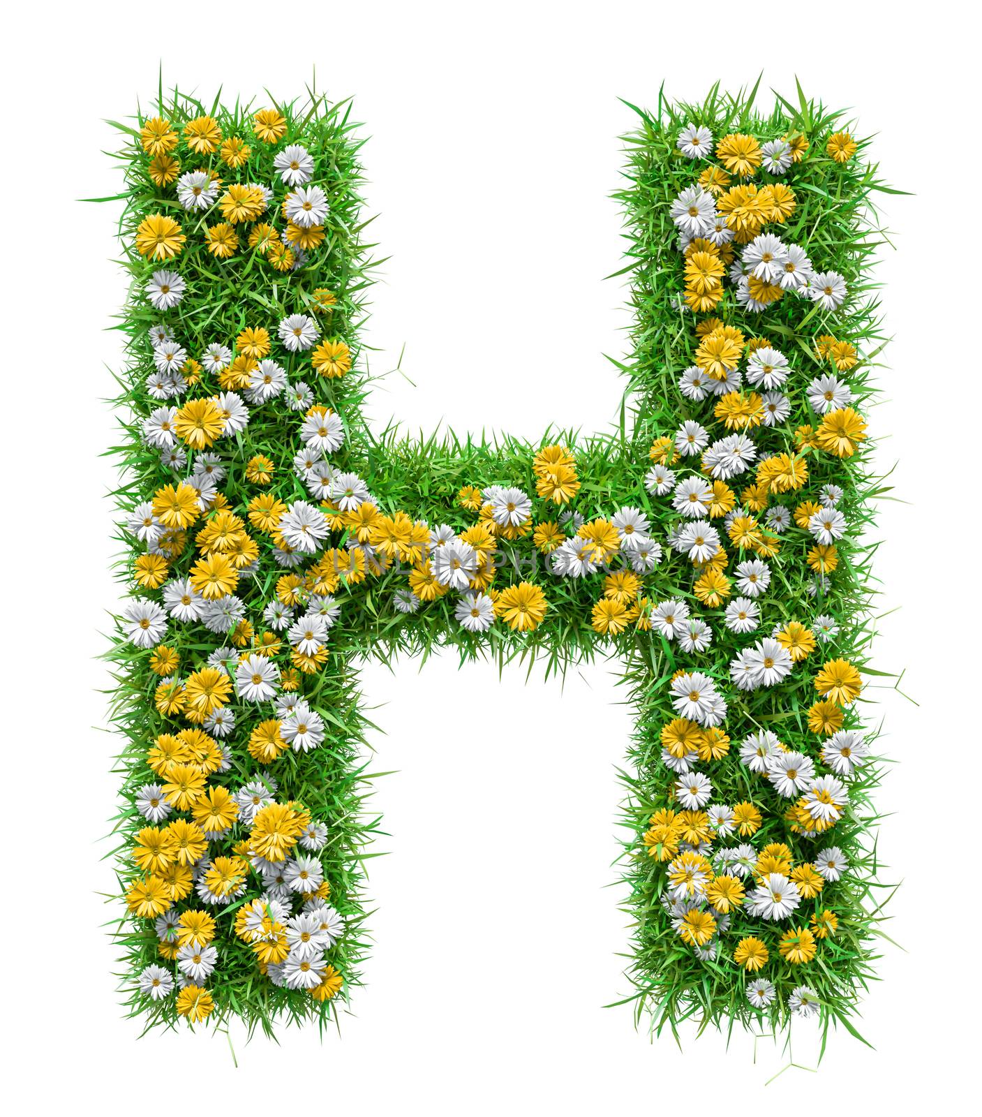 Letter H Of Green Grass And Flowers. Isolated On White Background. Font For Your Design. 3D Illustration