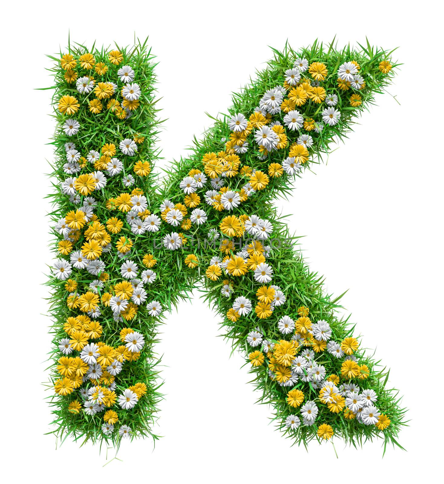 Letter K Of Green Grass And Flowers by cherezoff