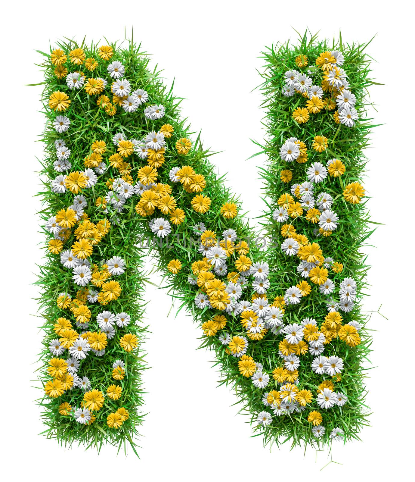 Letter N Of Green Grass And Flowers. Isolated On White Background. Font For Your Design. 3D Illustration