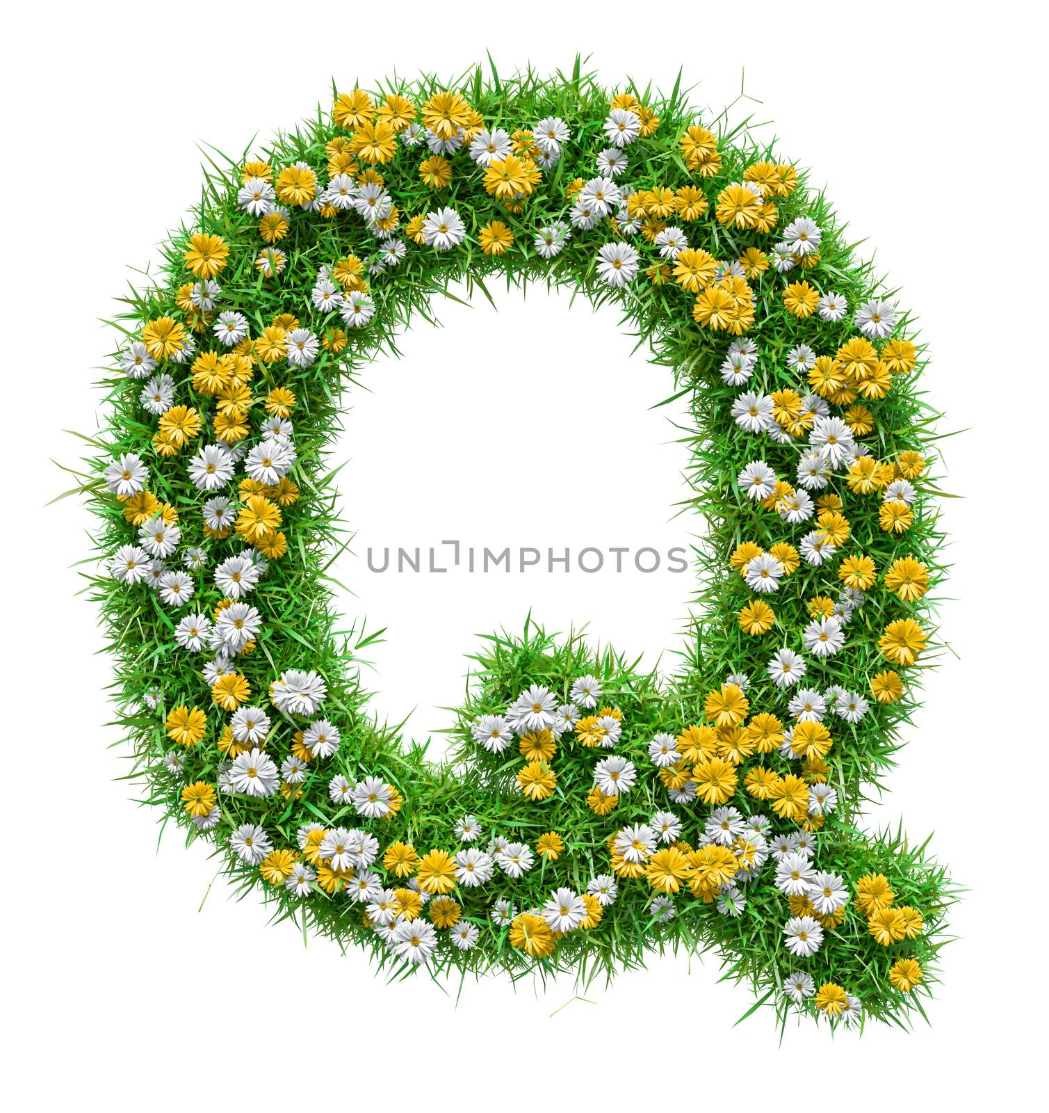 Letter Q Of Green Grass And Flowers. Isolated On White Background. Font For Your Design. 3D Illustration