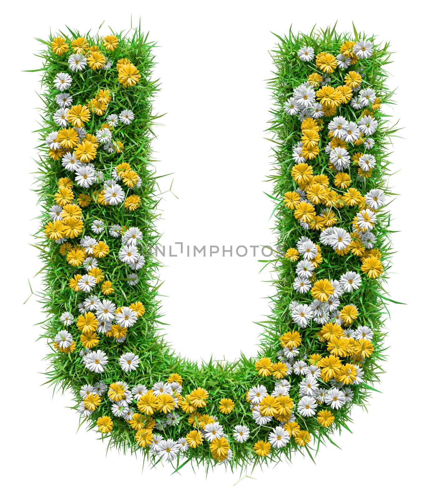 Letter U Of Green Grass And Flowers. Isolated On White Background. Font For Your Design. 3D Illustration