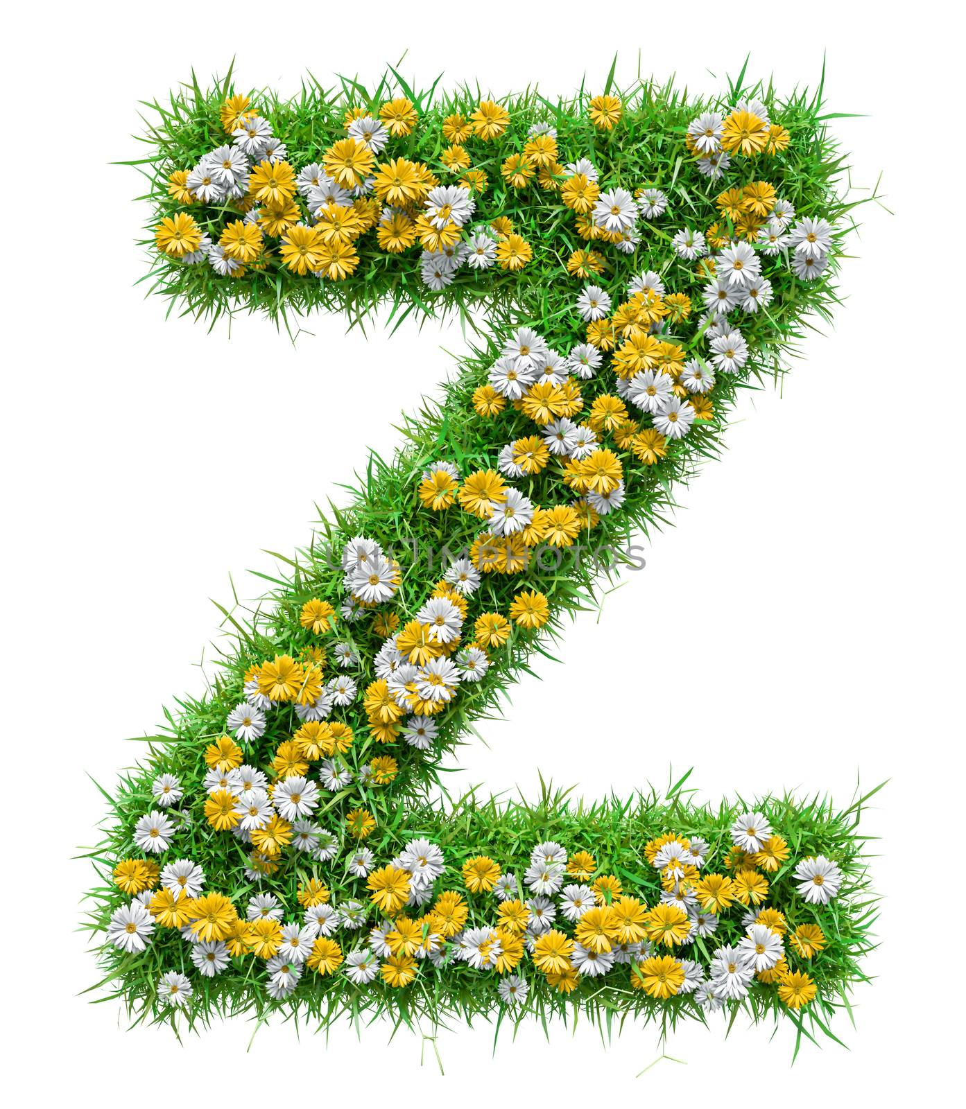 Letter Z Of Green Grass And Flowers by cherezoff