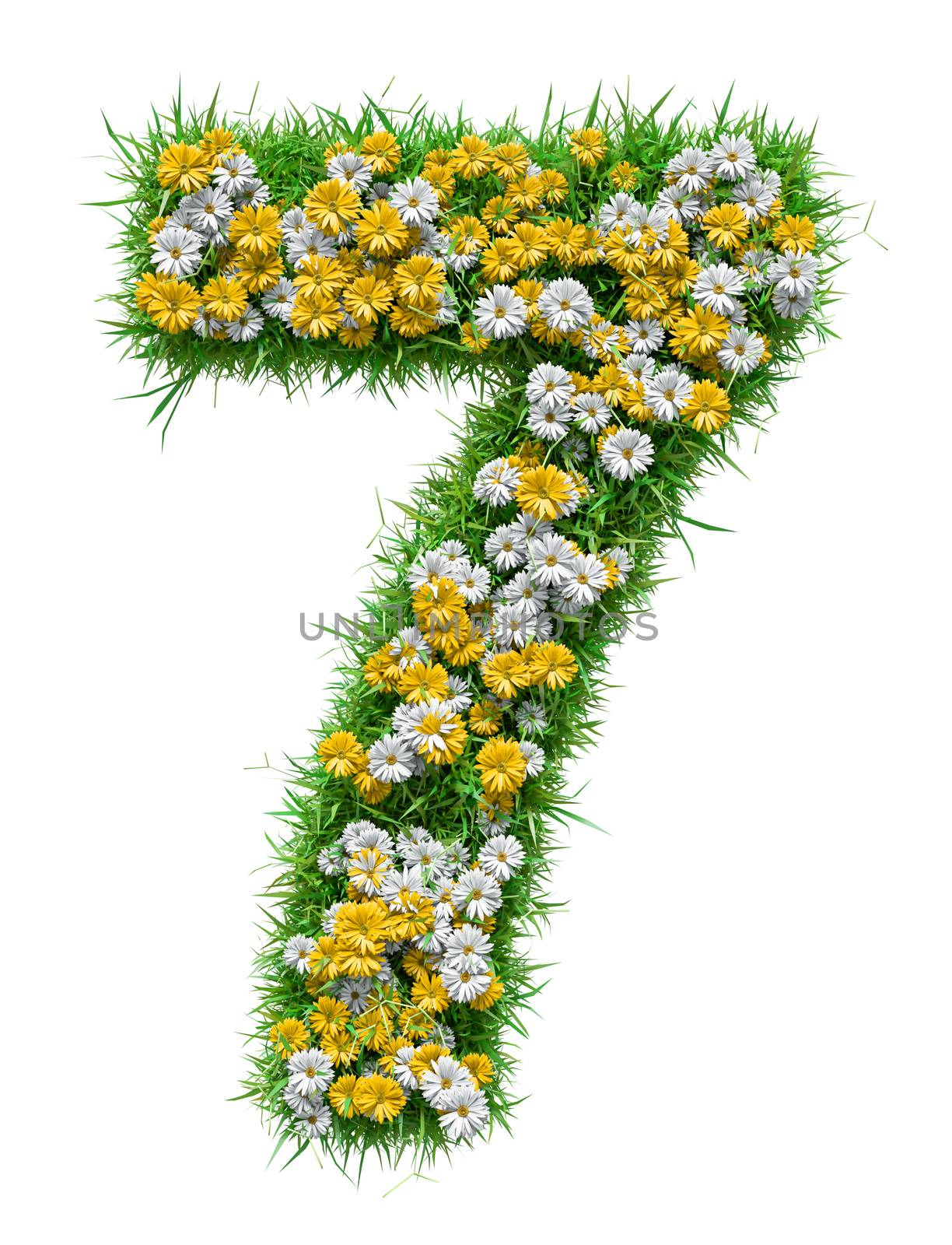 Number 7 of Green Grass And Flowers, isolated on white background. 3D illustration