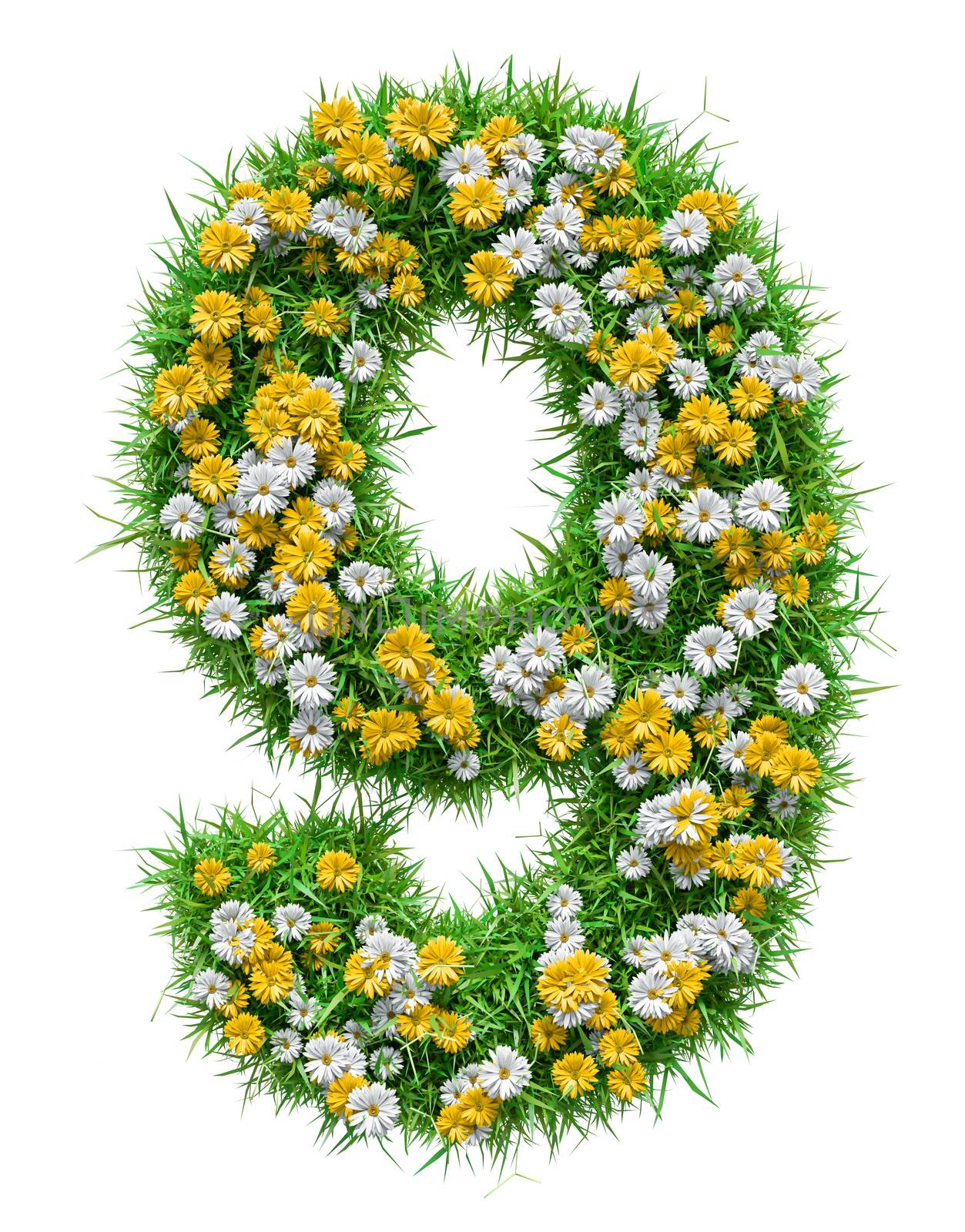 Number 9 of Green Grass And Flowers, isolated on white background. 3D illustration